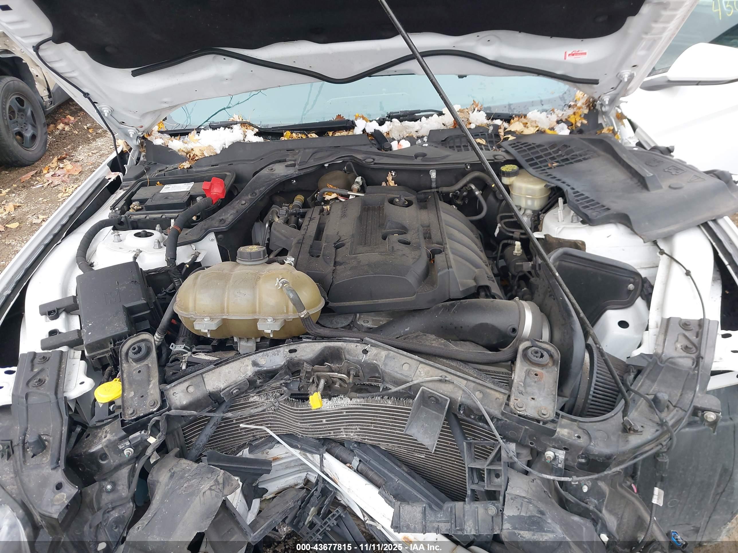 FORD MUSTANG image 10