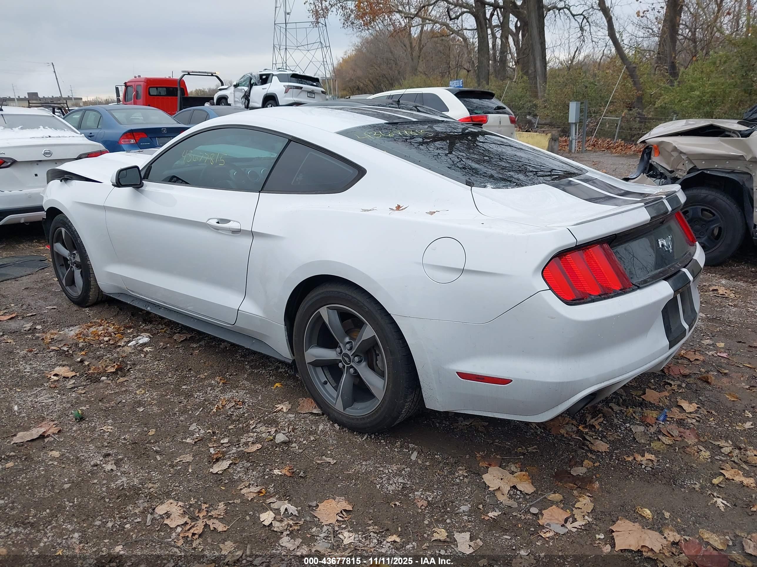 FORD MUSTANG image 3