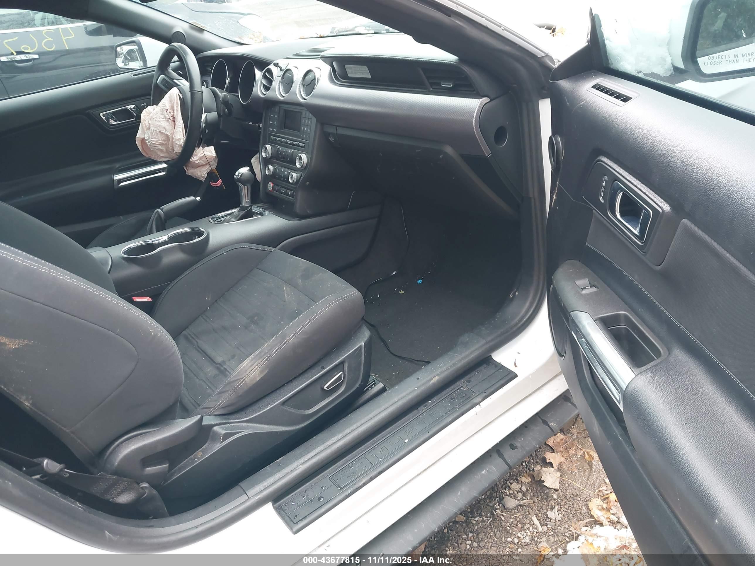 FORD MUSTANG image 5