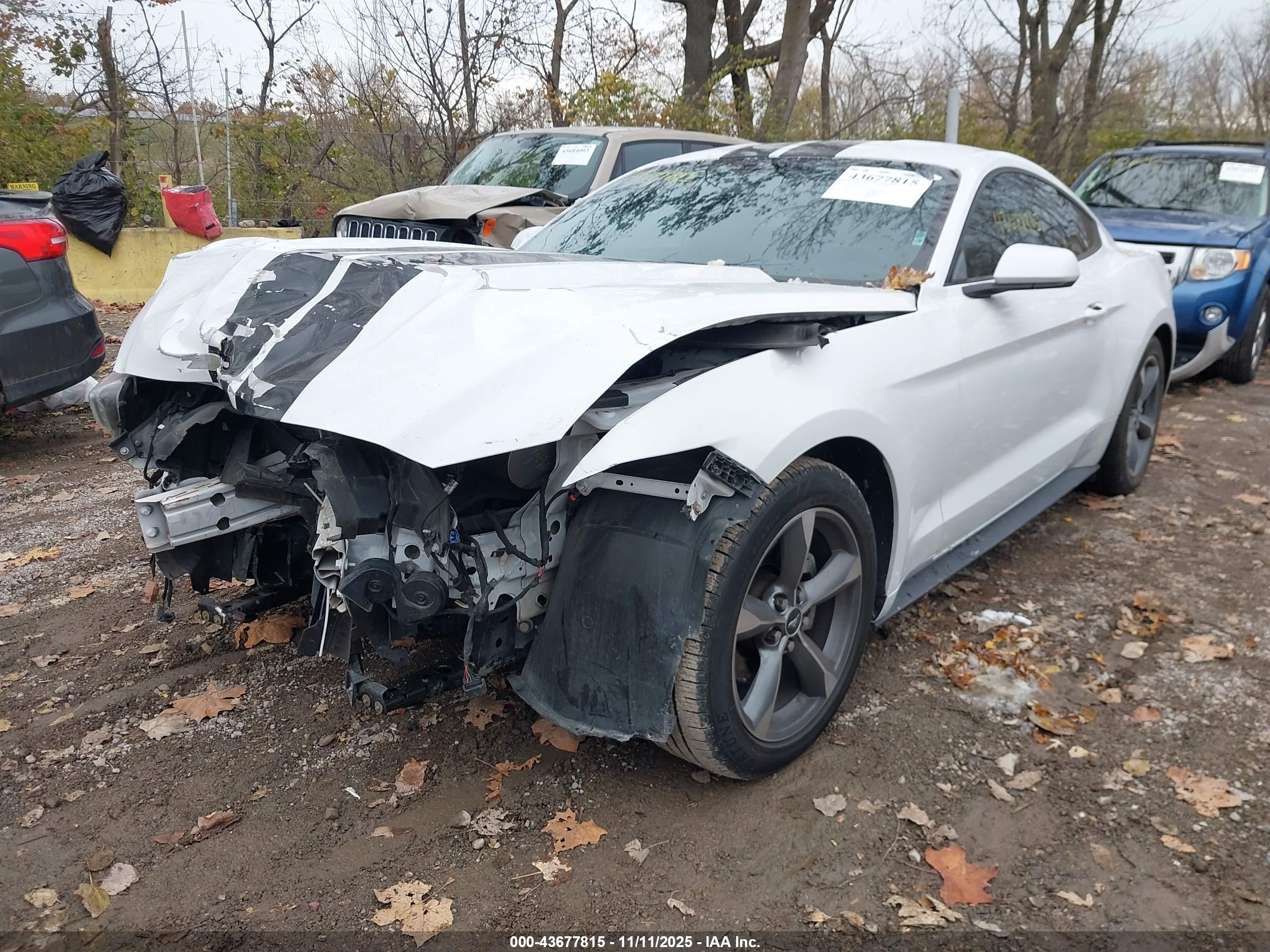 FORD MUSTANG image 6