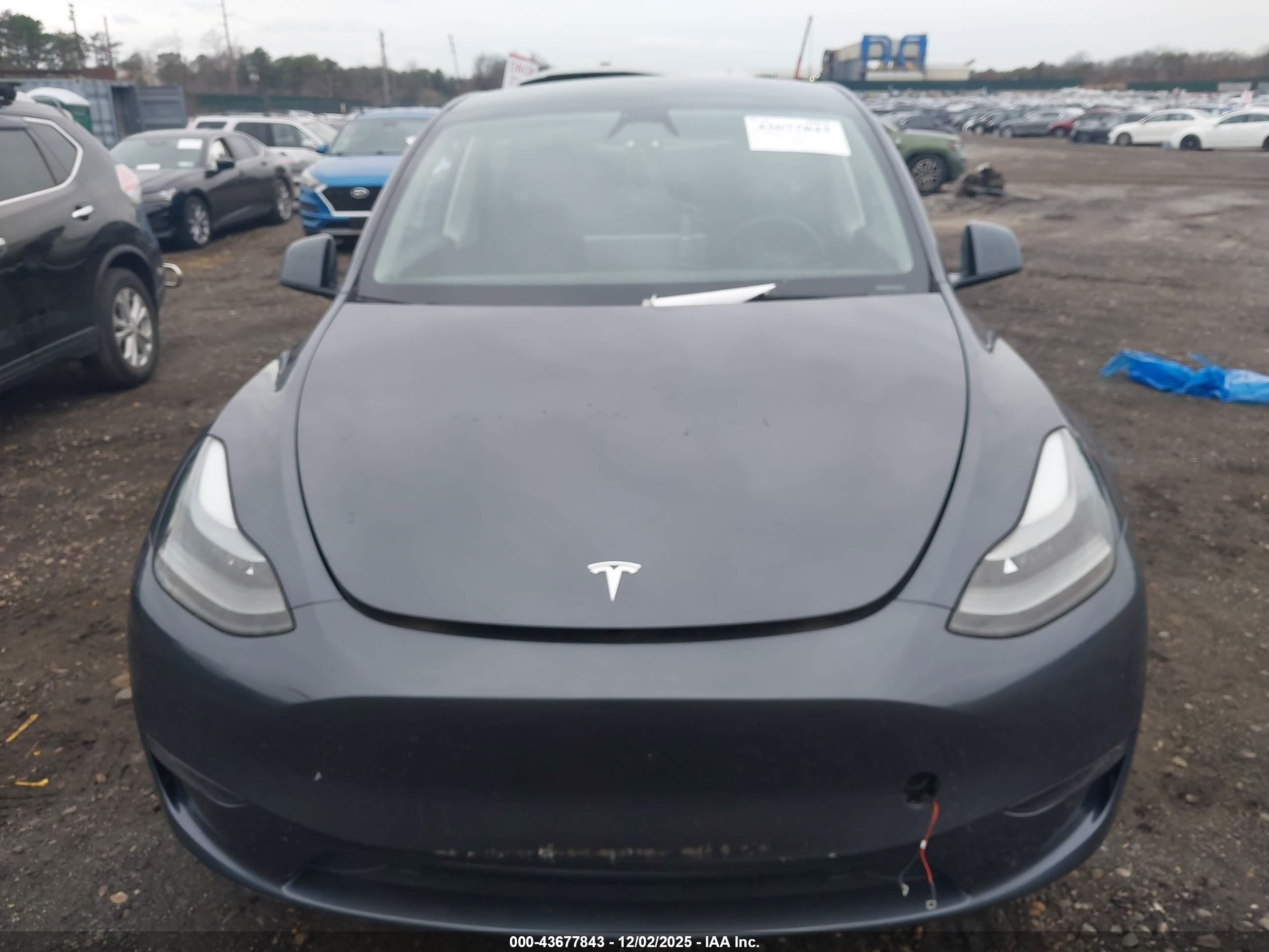 TESLA MODEL image 10