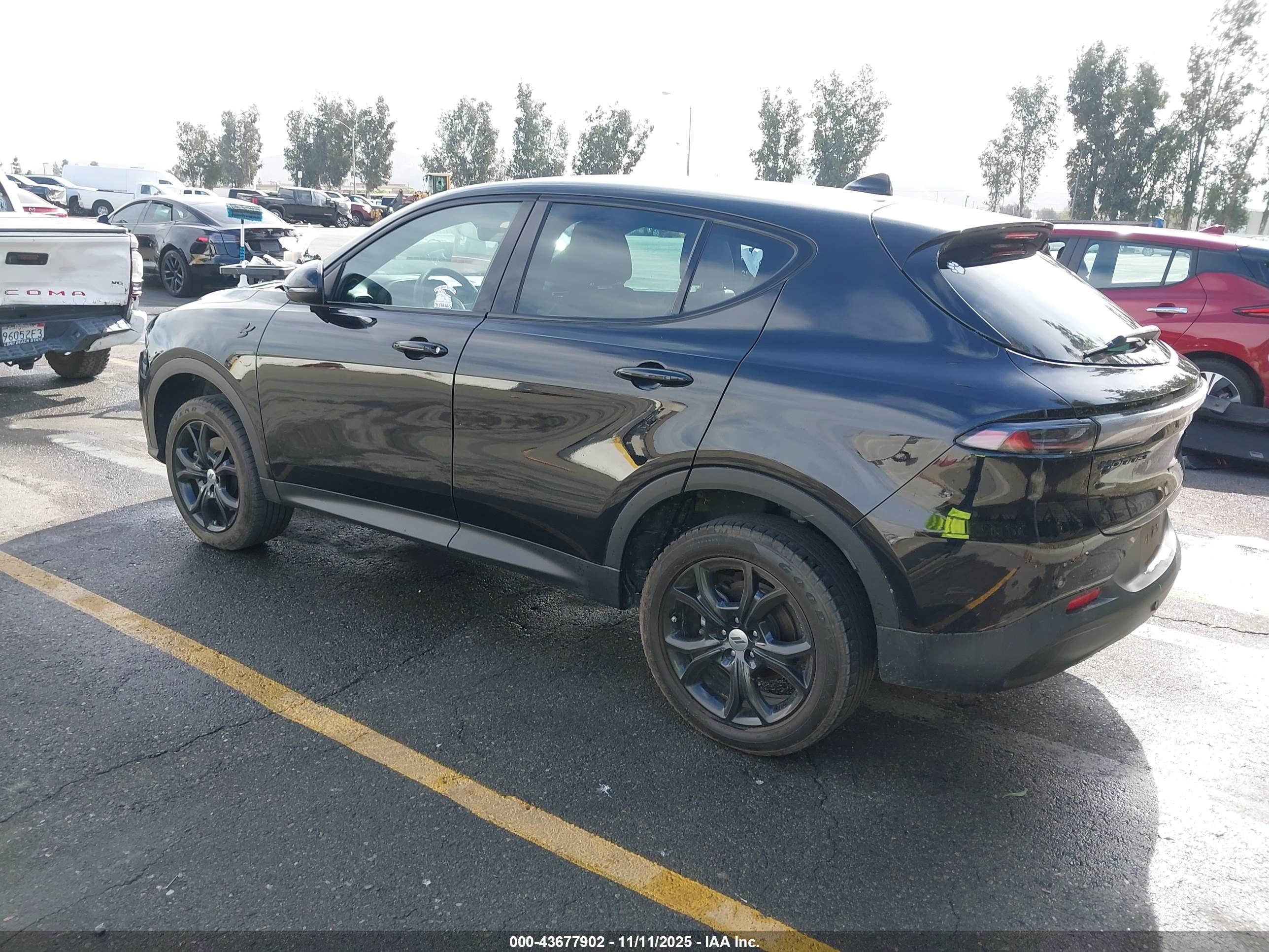 DODGE HORNET image 3