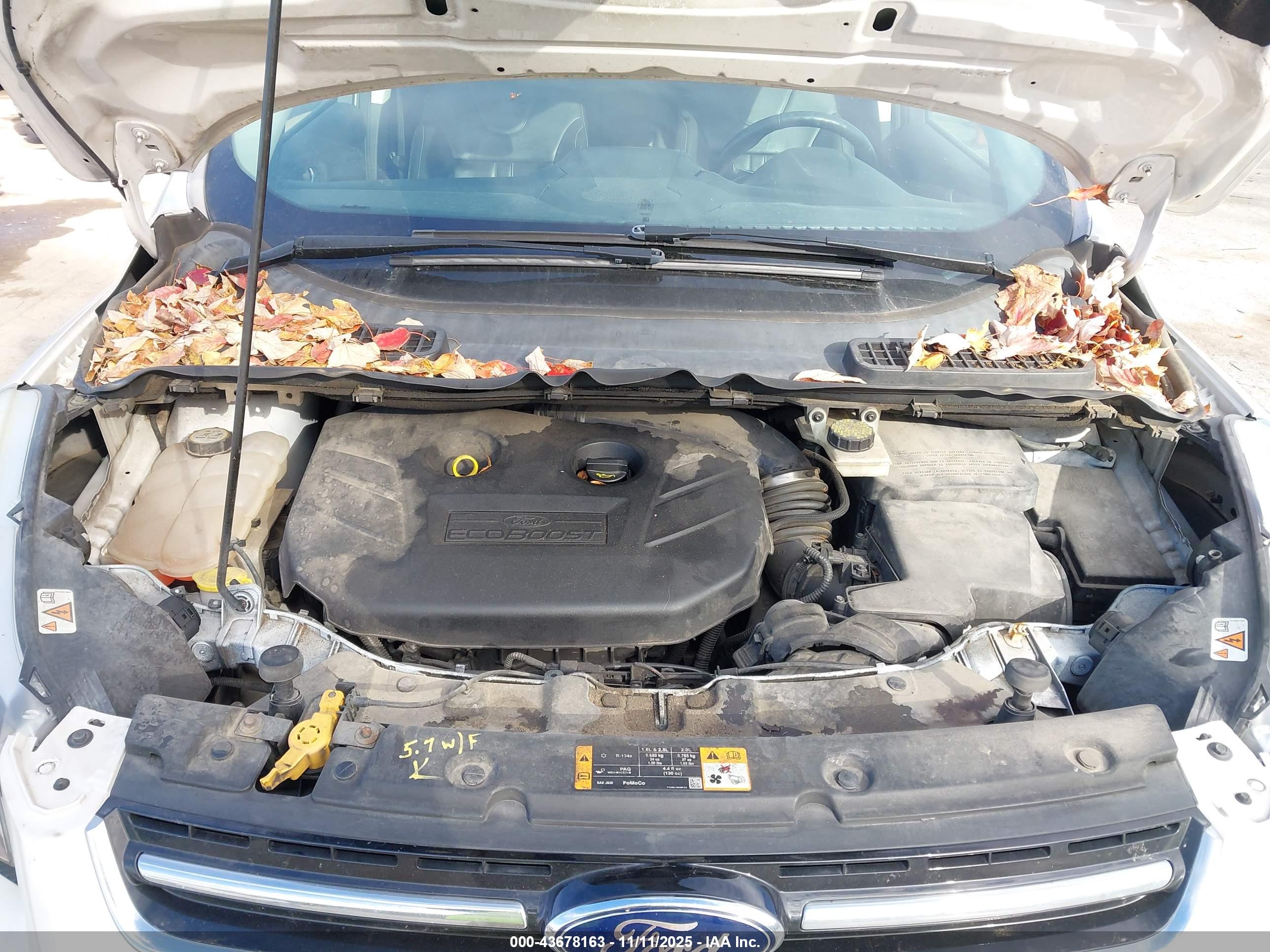 FORD ESCAPE image 10
