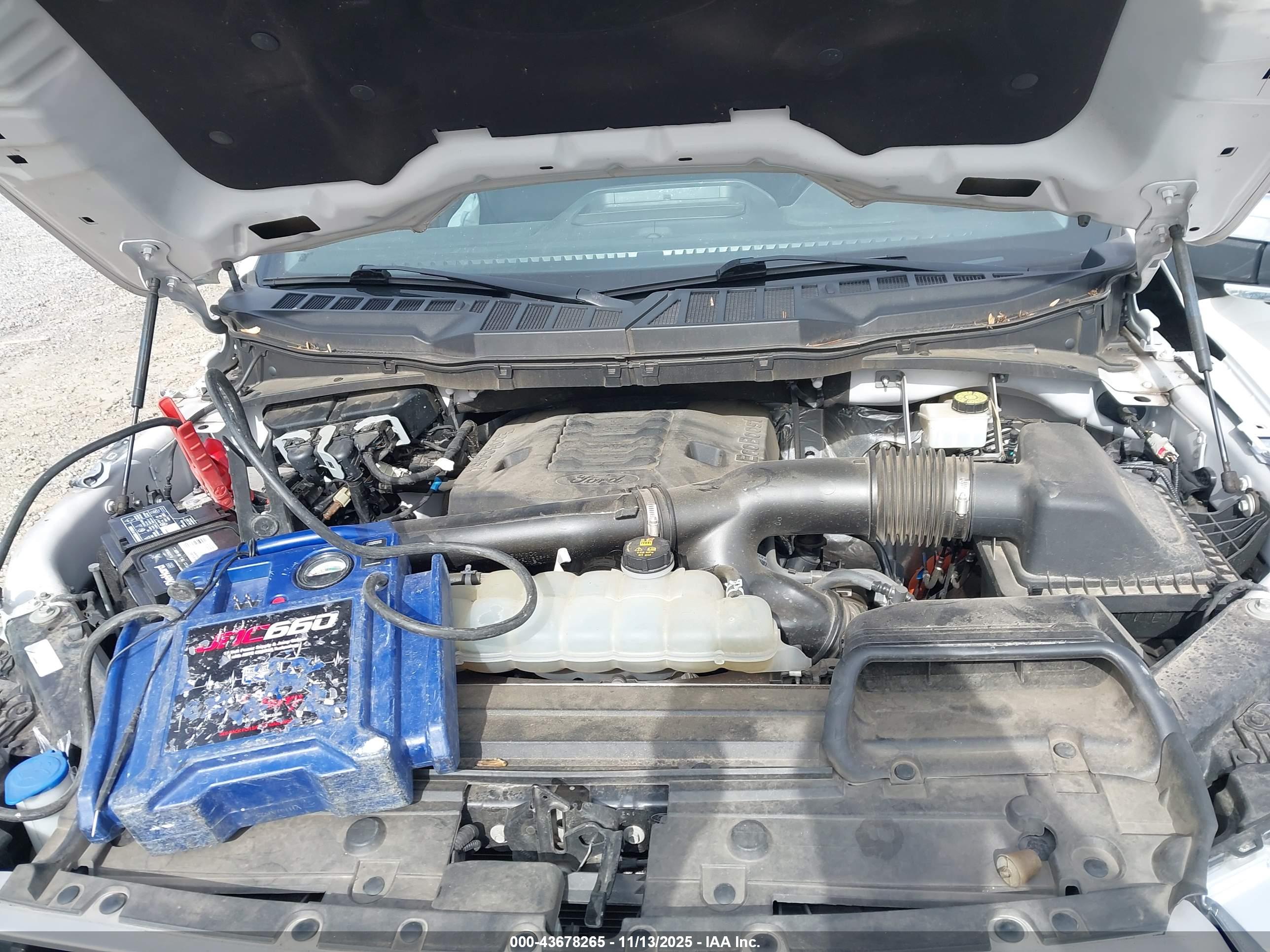 FORD F-150 image 10