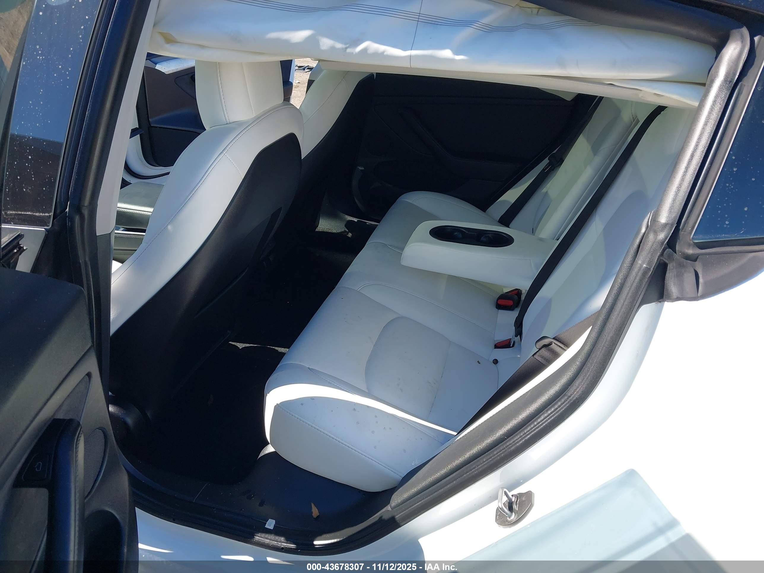 TESLA MODEL image 8