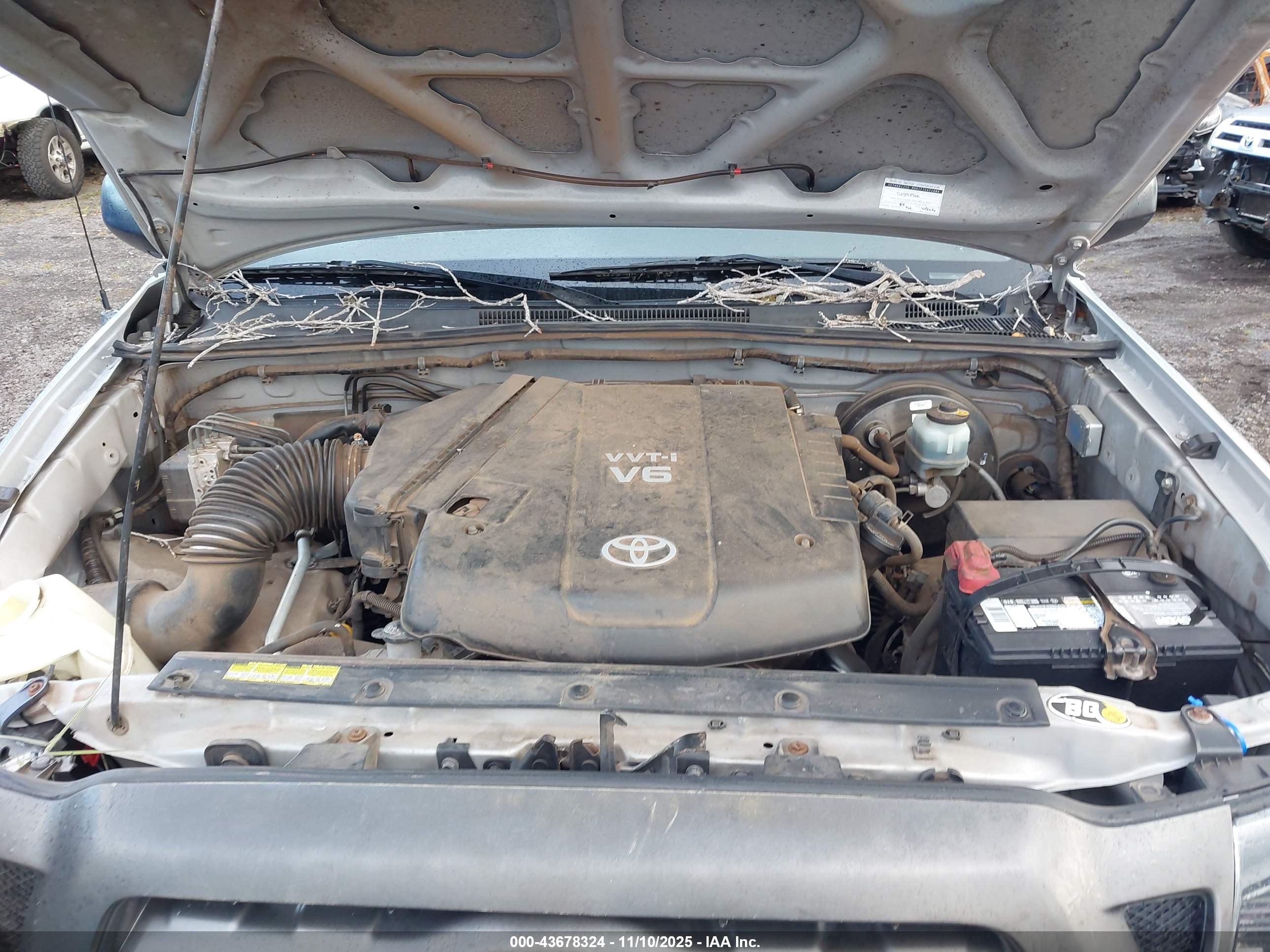 TOYOTA TACOMA image 10