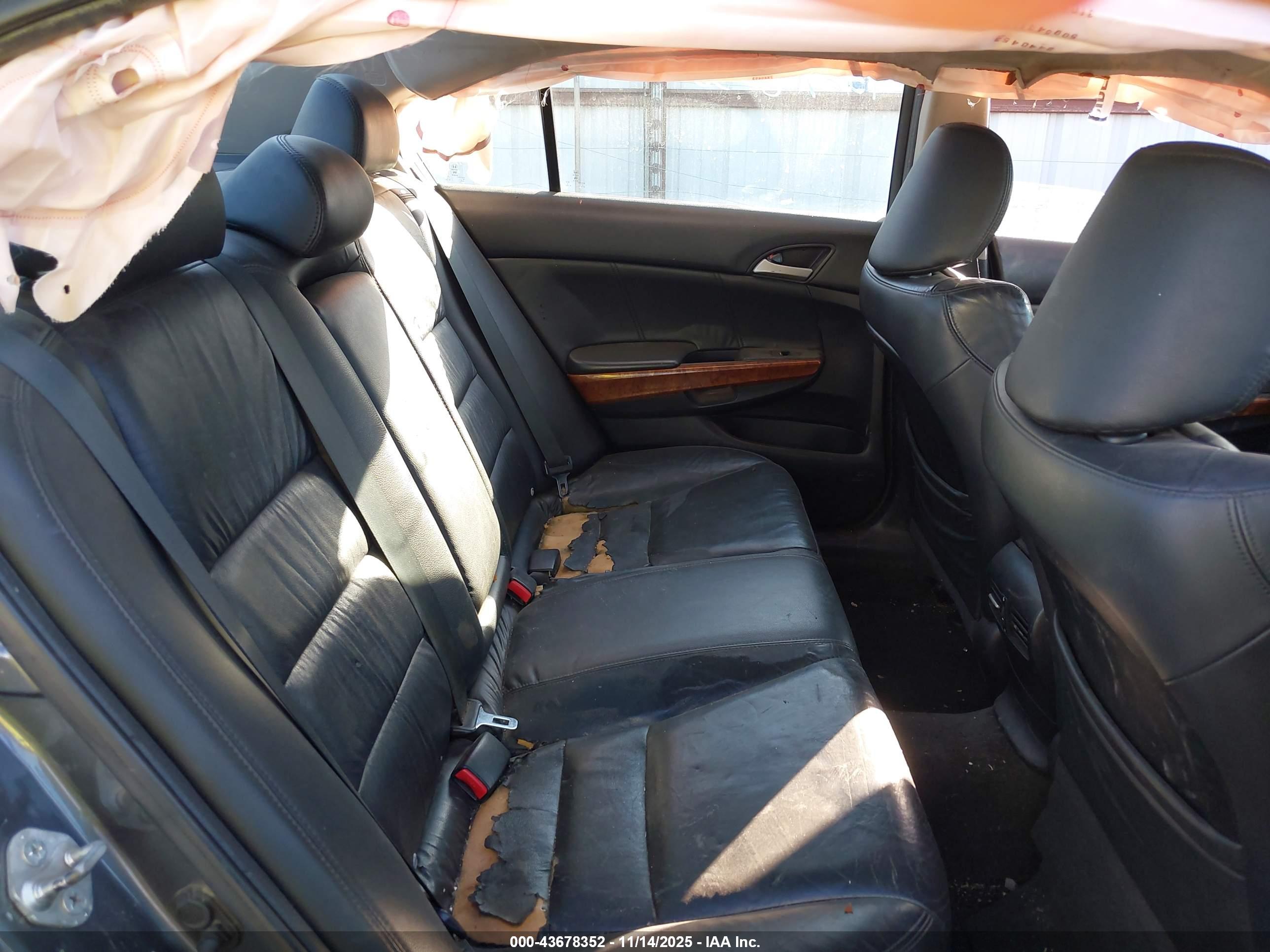 HONDA ACCORD image 8