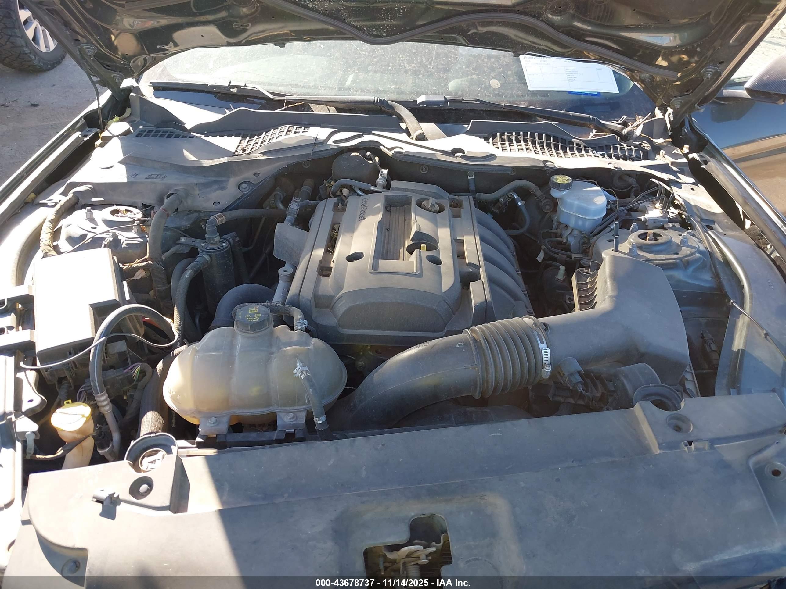 FORD MUSTANG image 10