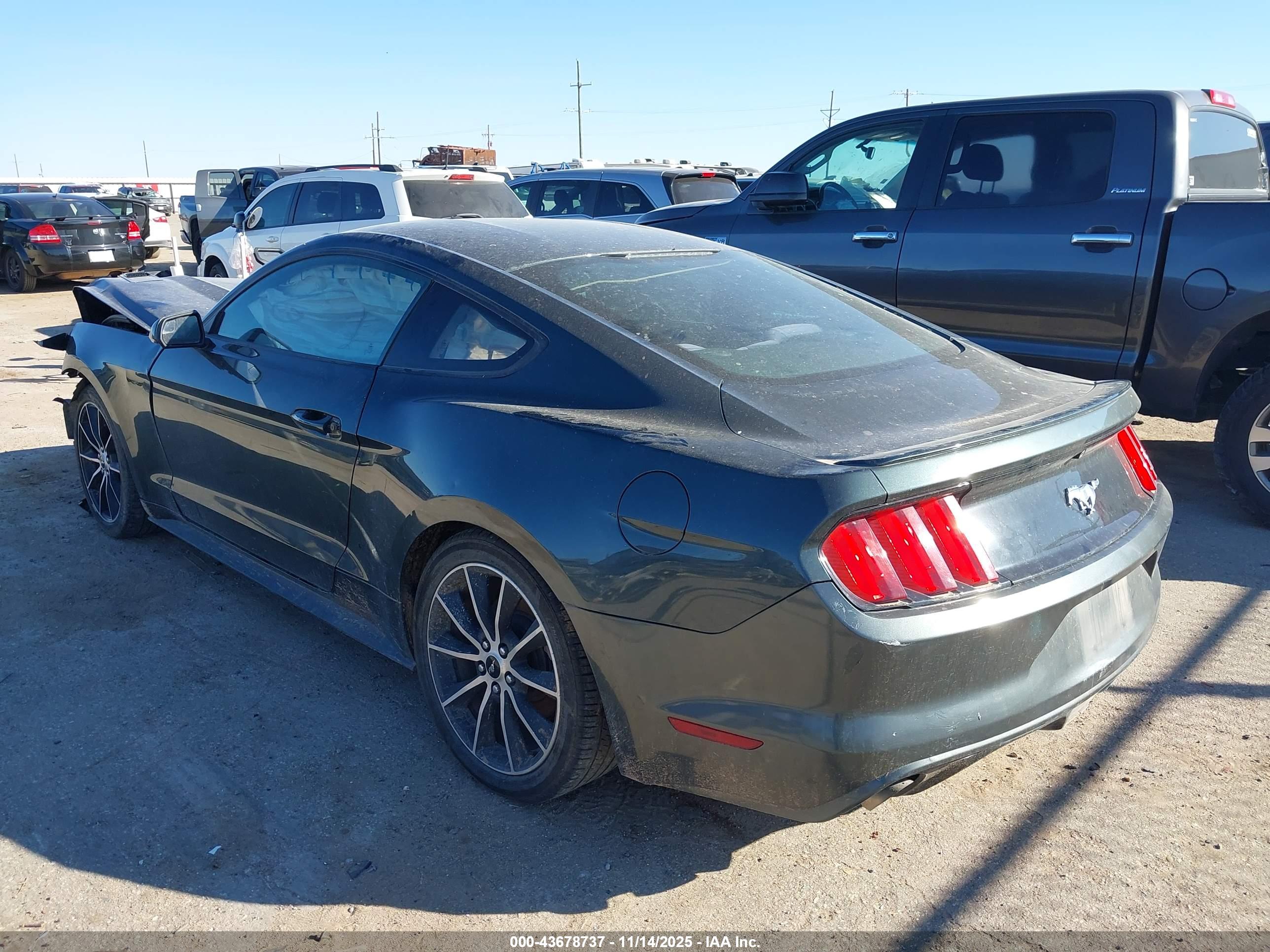 FORD MUSTANG image 3