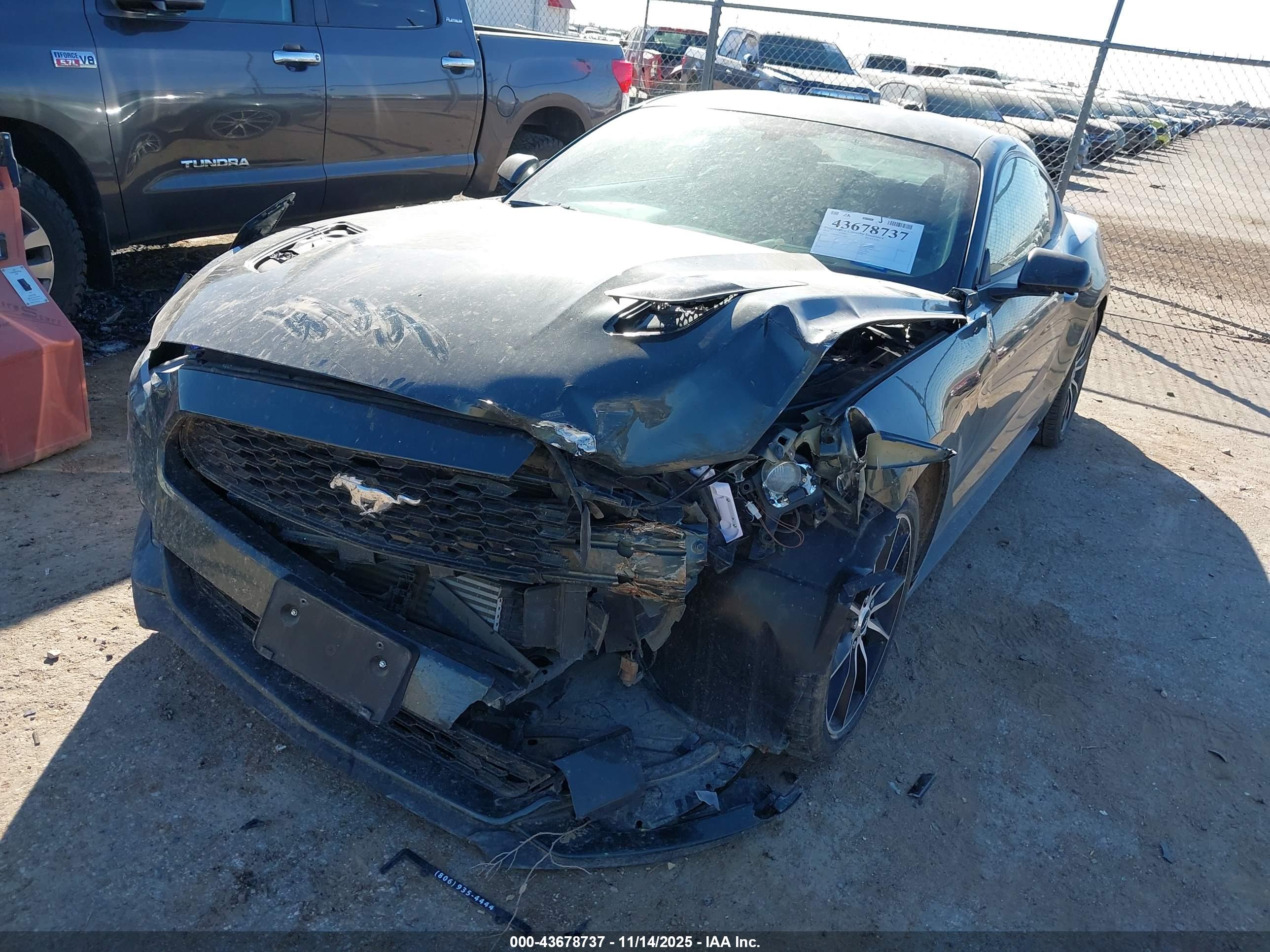 FORD MUSTANG image 6