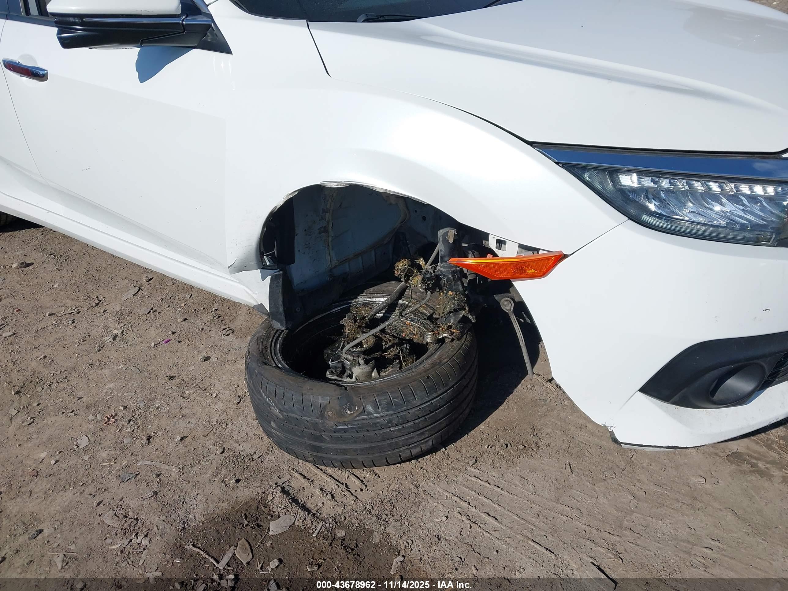 HONDA CIVIC image 6