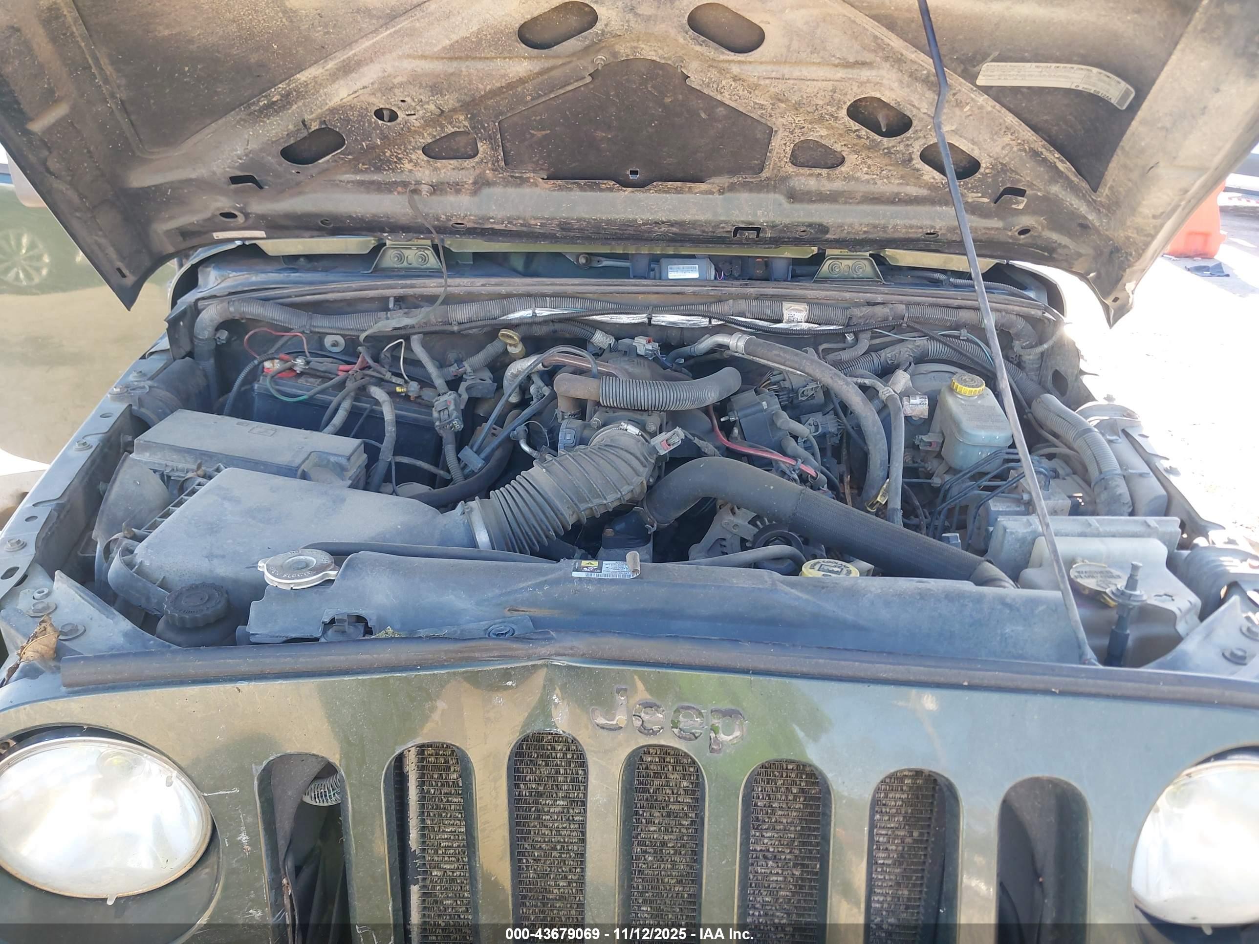 JEEP WRANGLER image 10