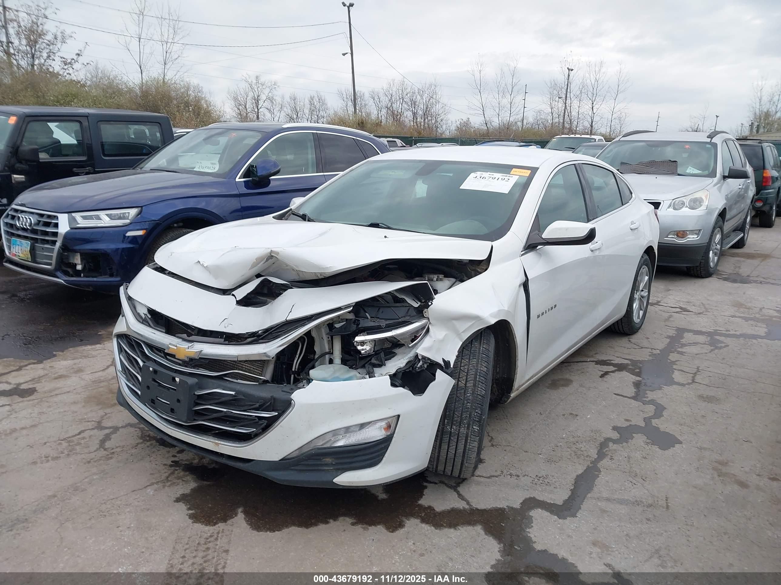 CHEVROLET MALIBU image 2