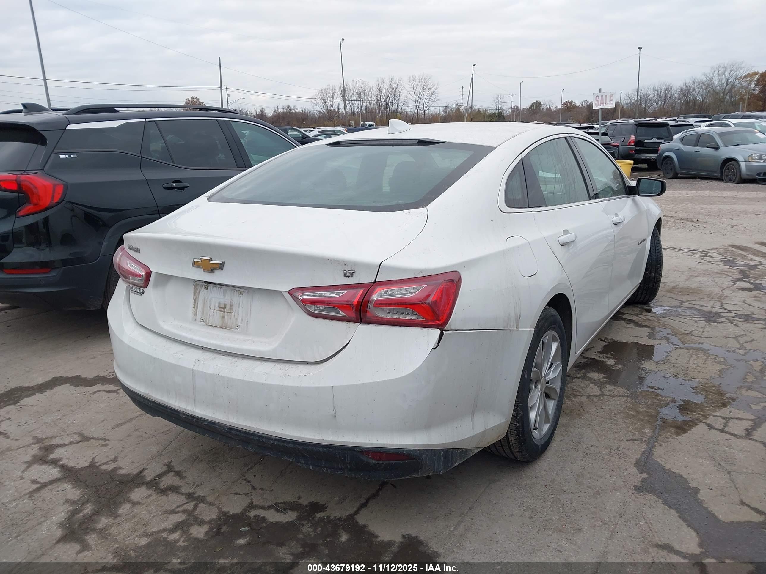 CHEVROLET MALIBU image 4