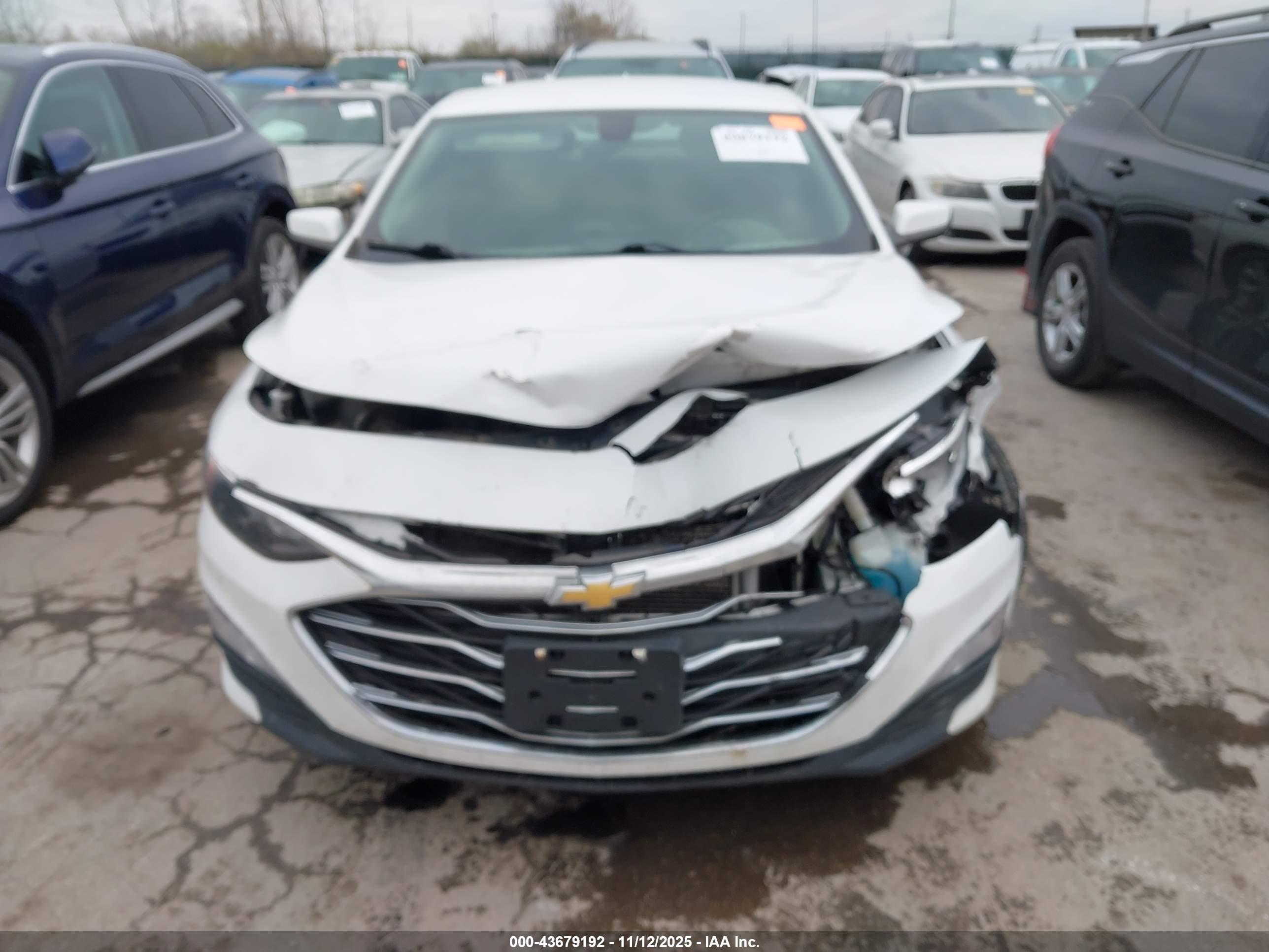 CHEVROLET MALIBU image 6
