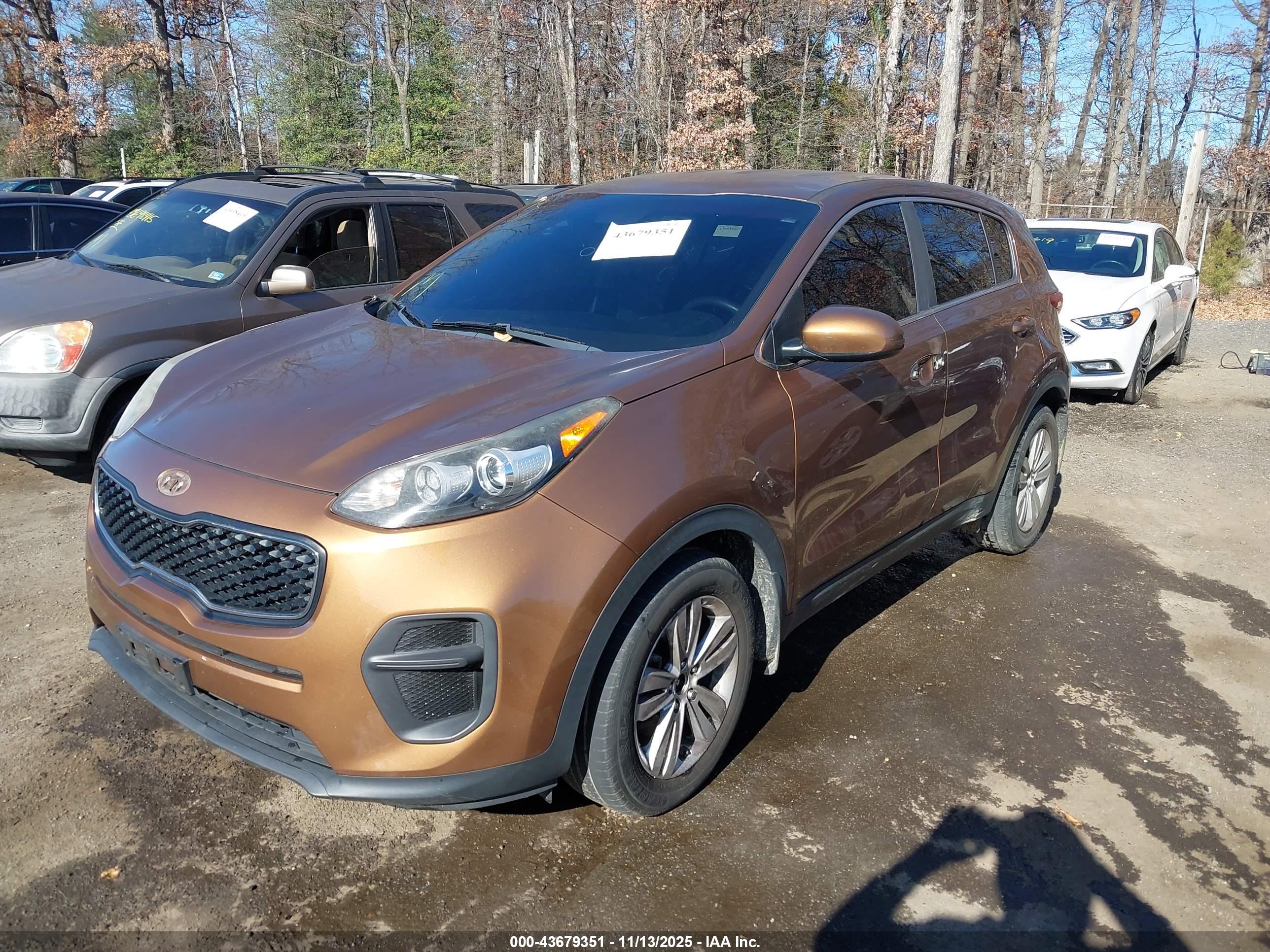 KIA SPORTAGE image 2