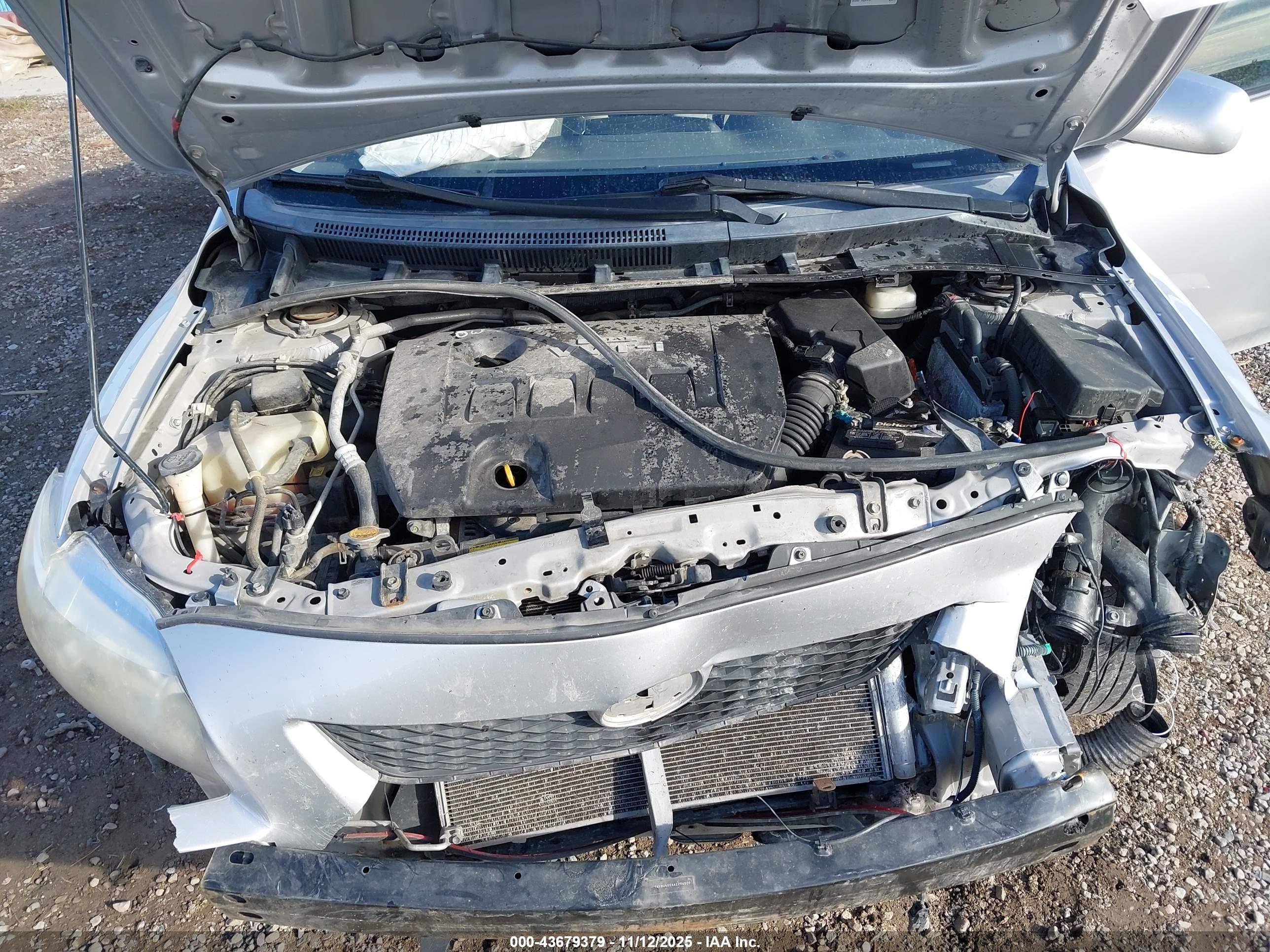 TOYOTA COROLLA image 10