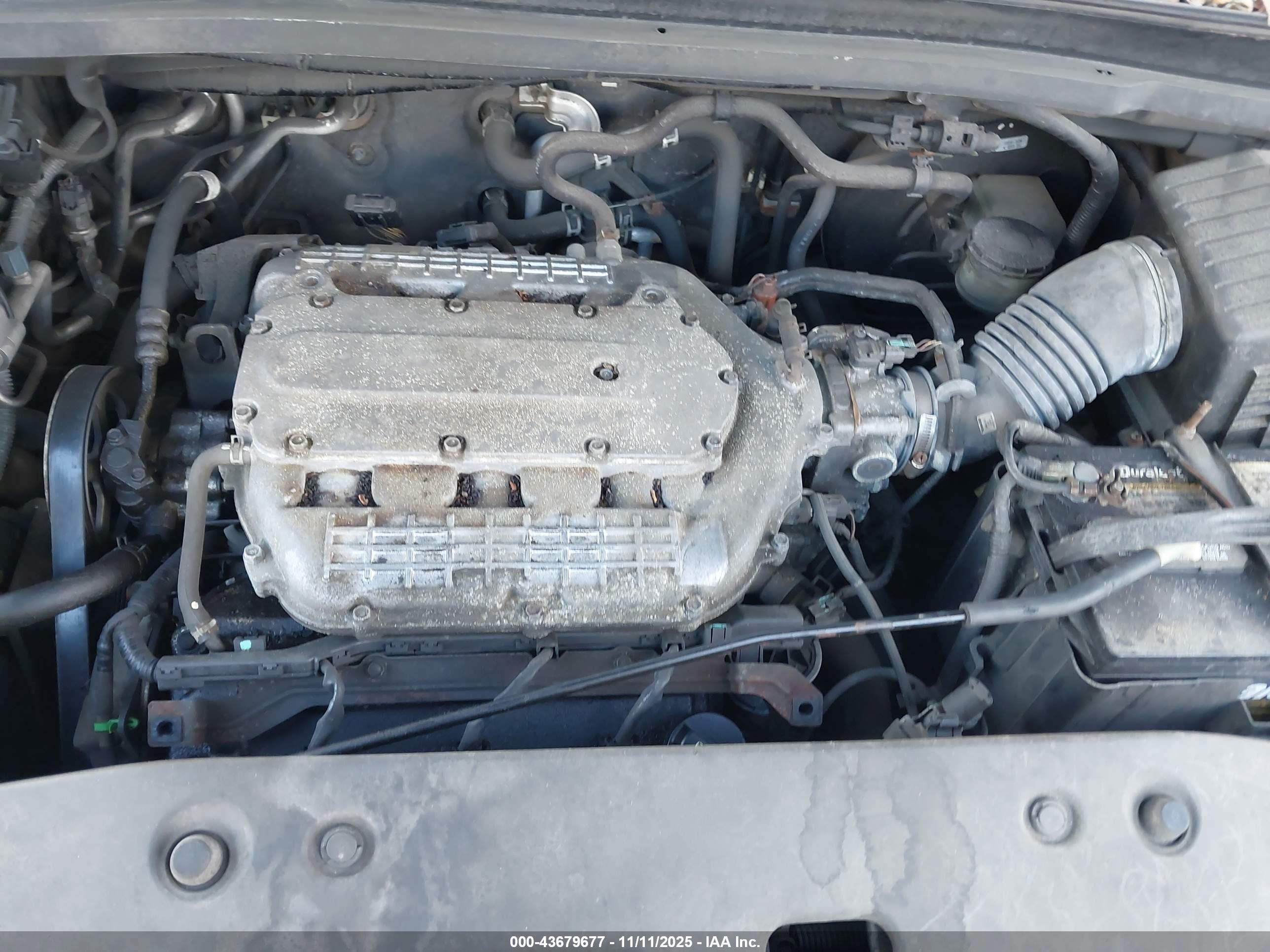 HONDA ODYSSEY image 10