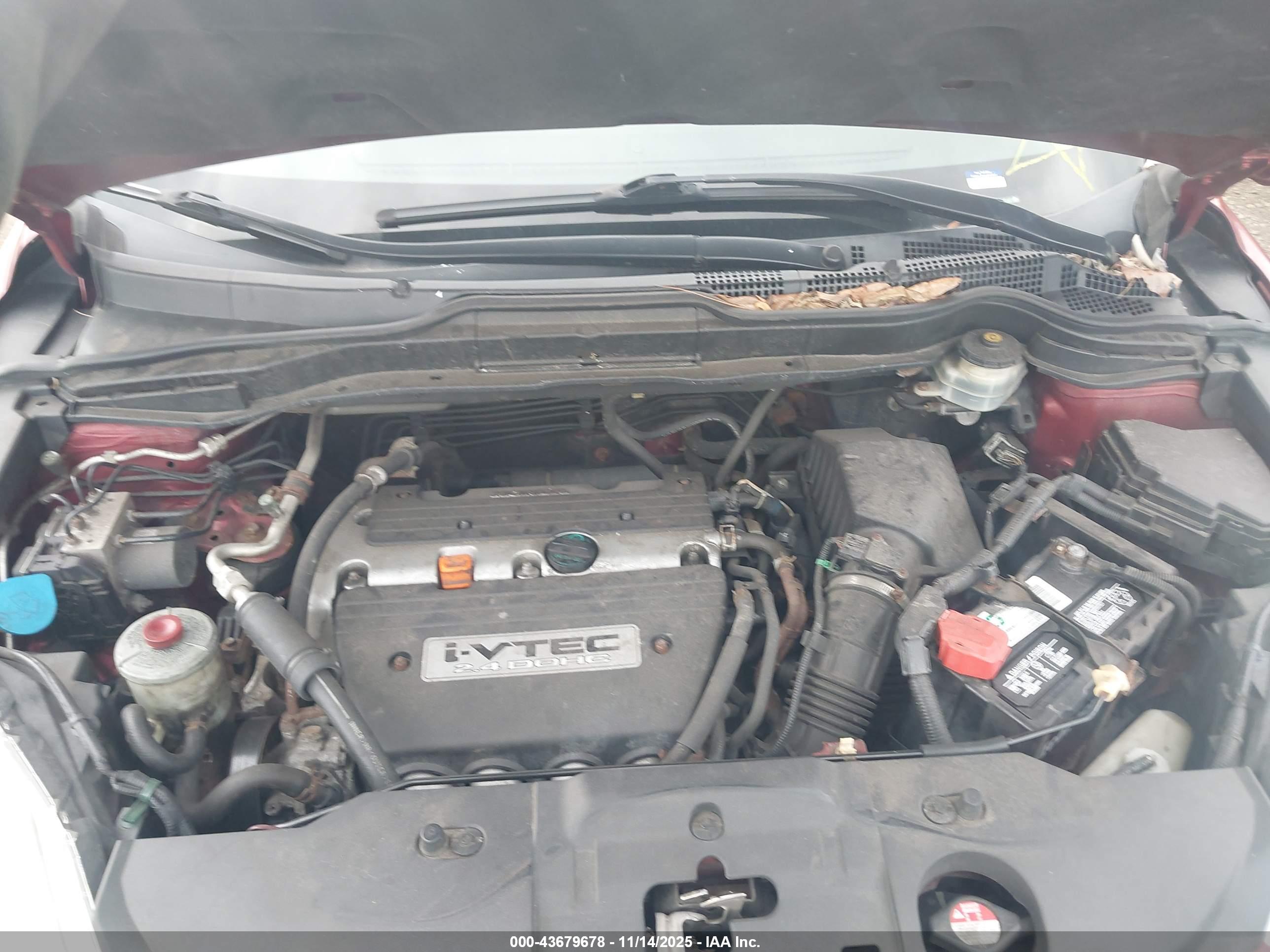 HONDA CR-V image 10