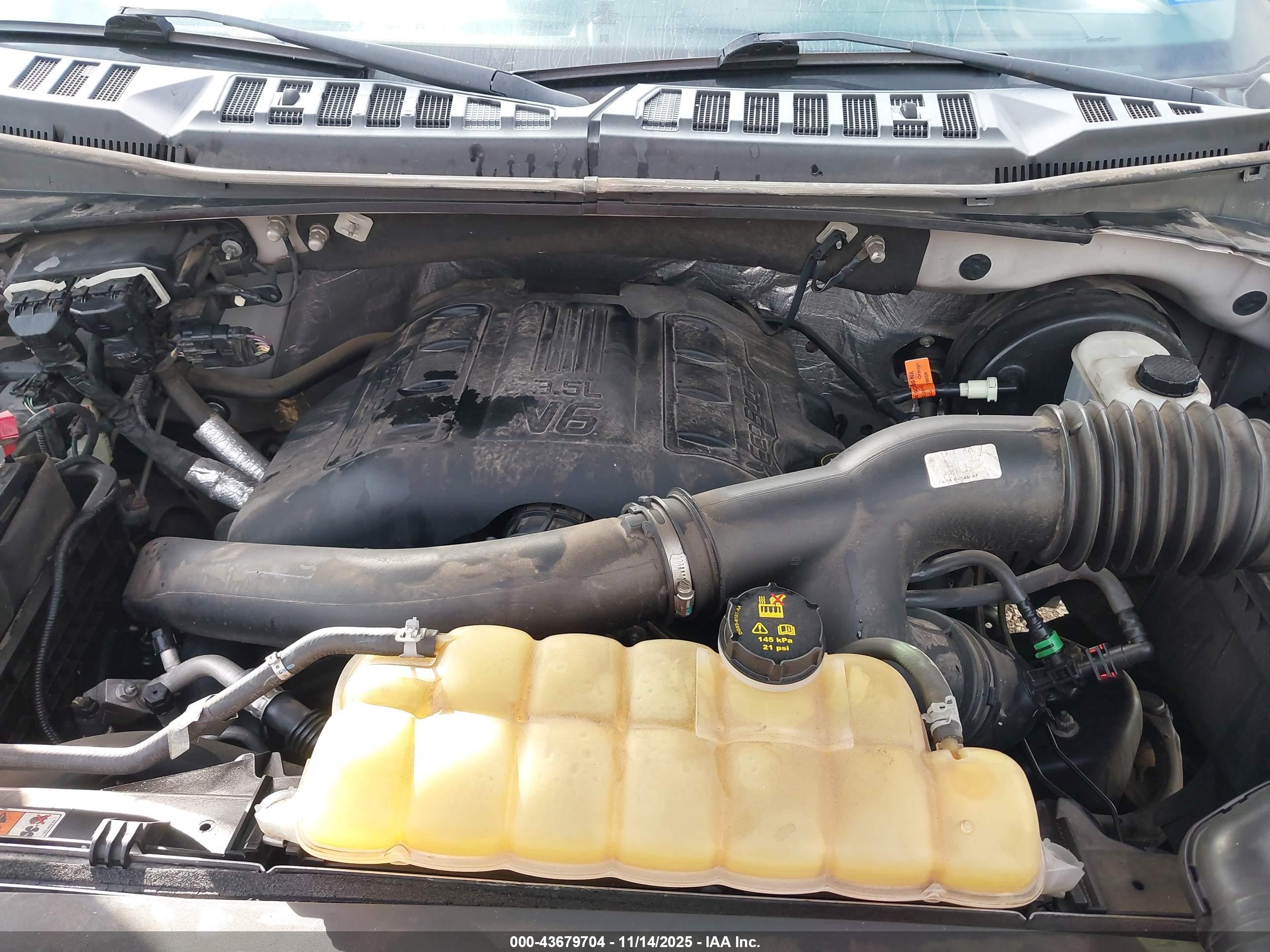 FORD F-150 image 10