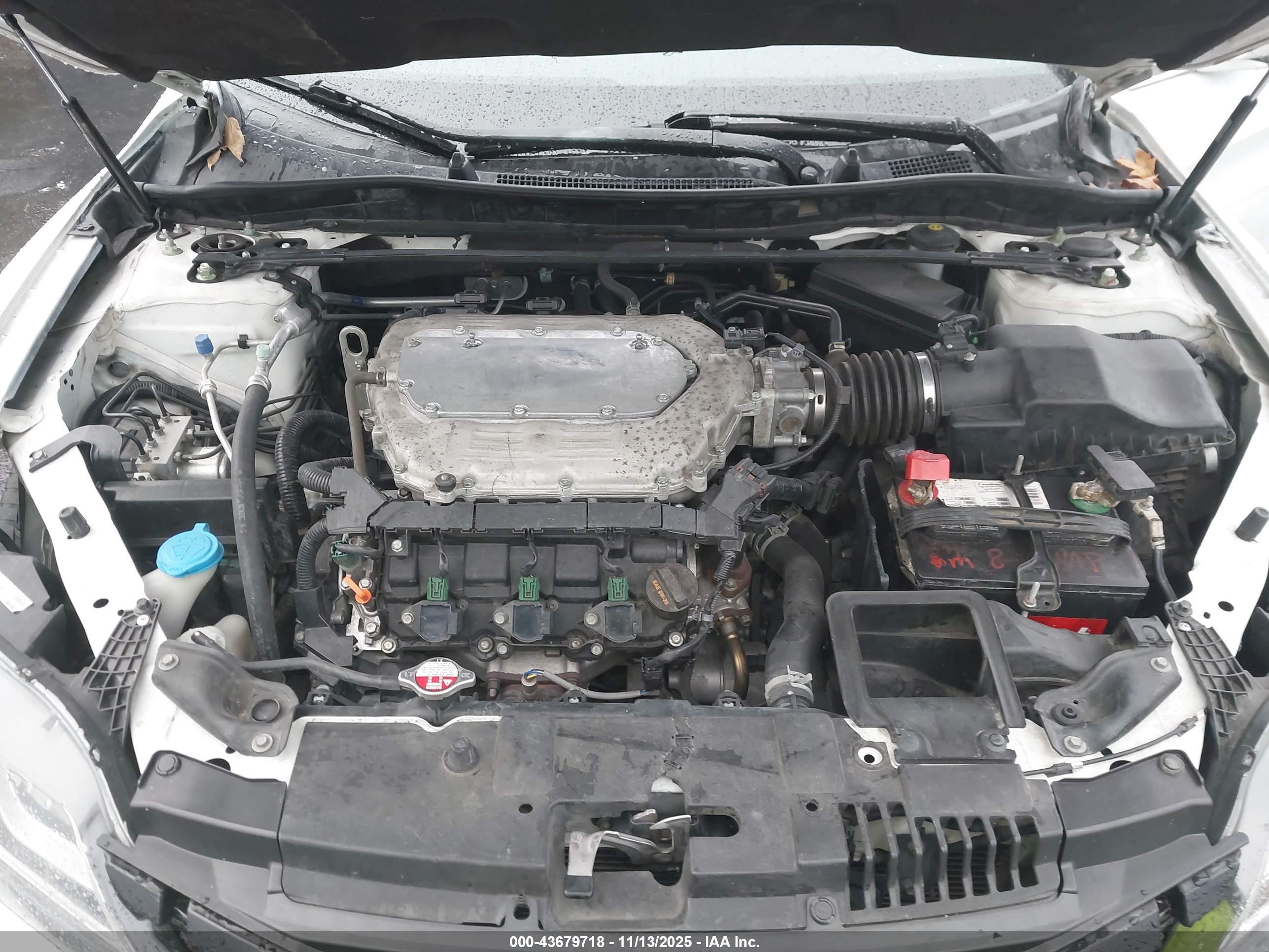 HONDA ACCORD image 10
