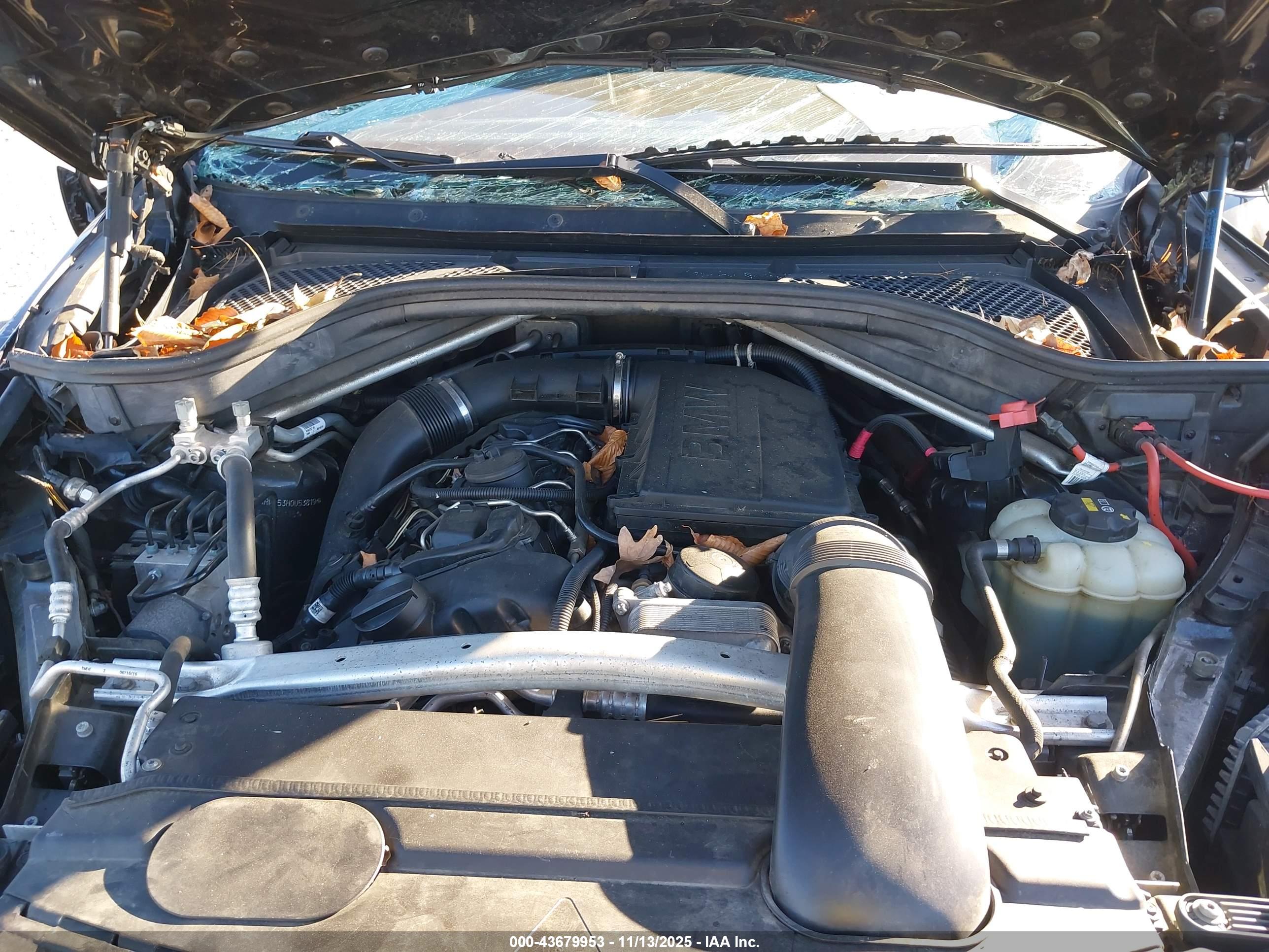 BMW X5 image 10
