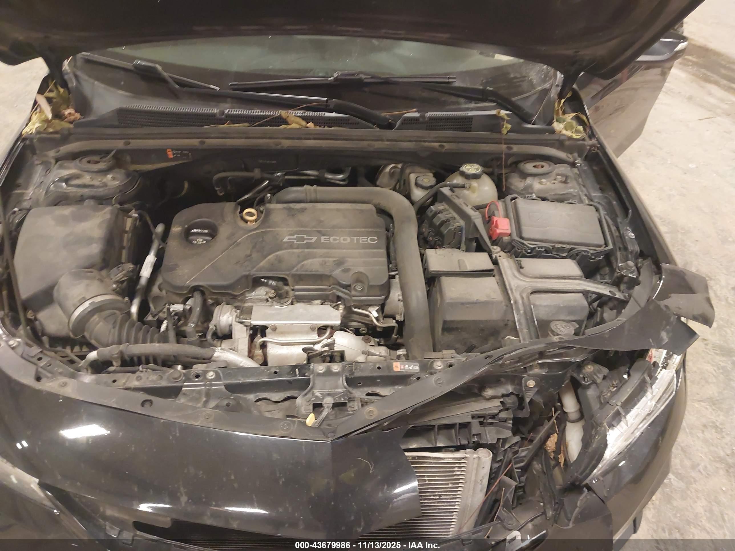 CHEVROLET MALIBU image 10