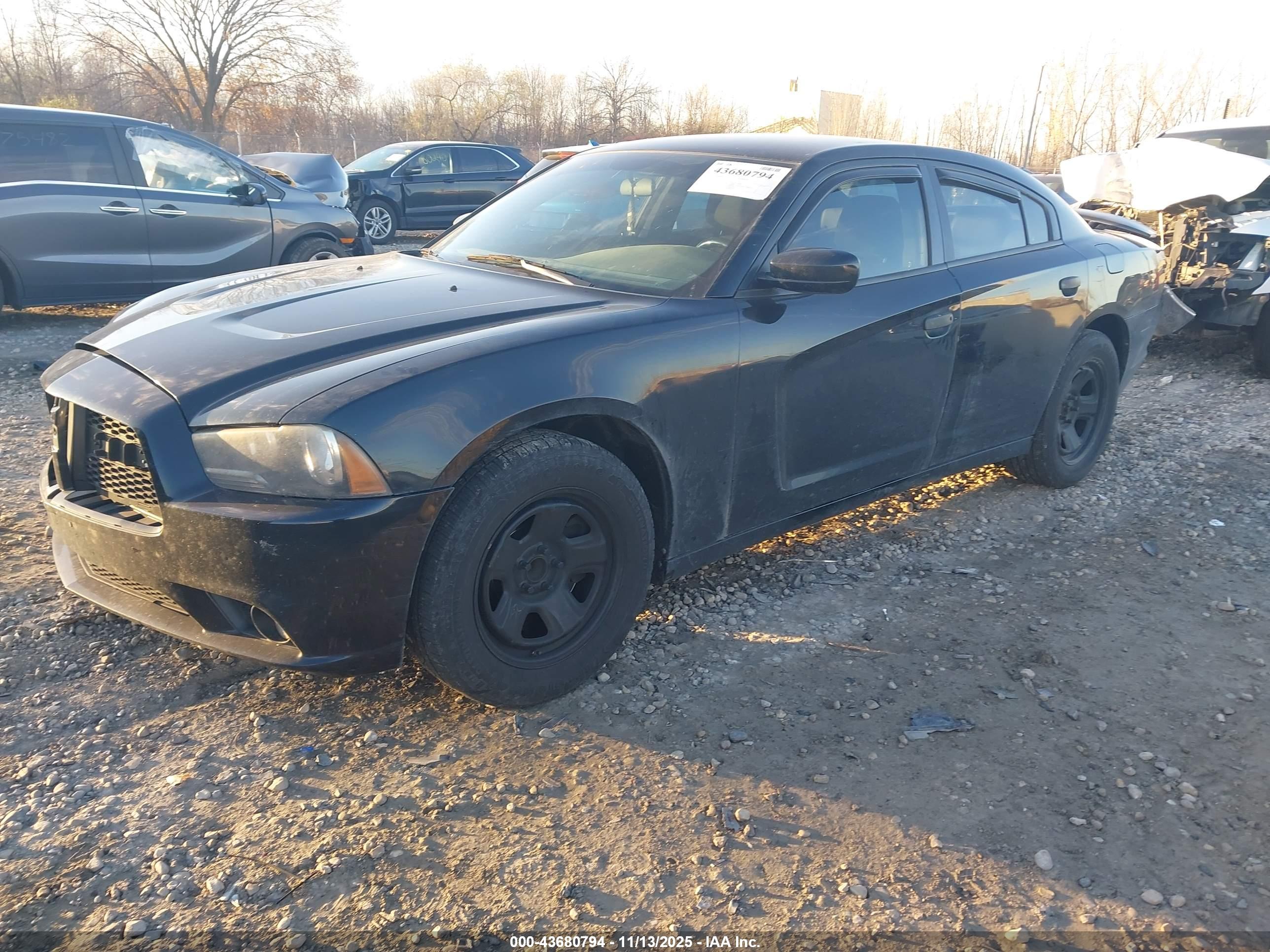 DODGE CHARGER image 2