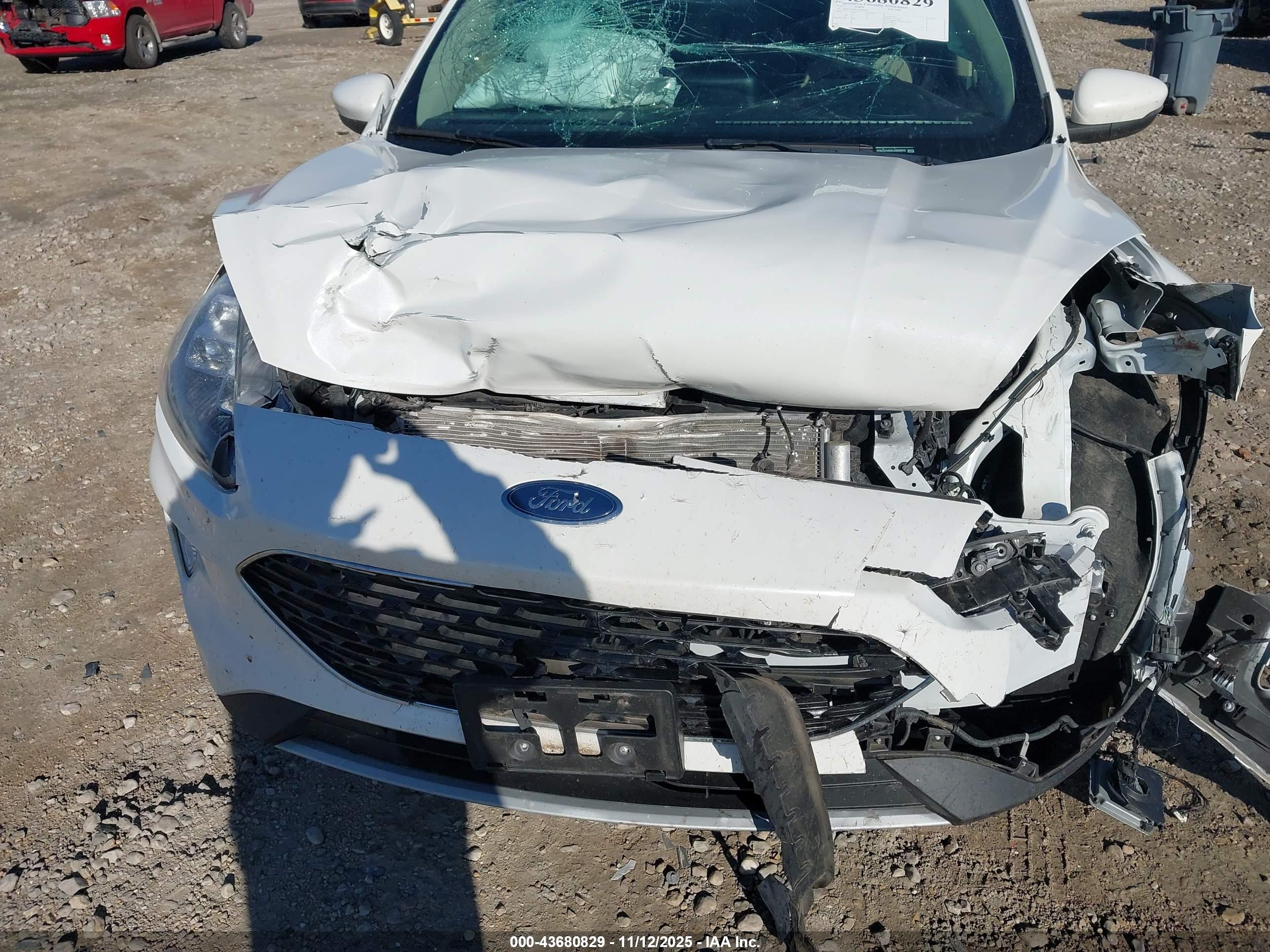 FORD ESCAPE image 6