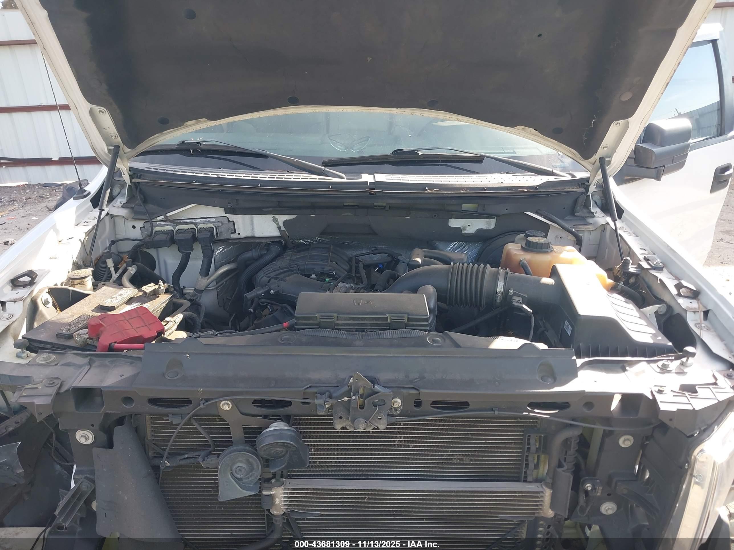 FORD F-150 image 10