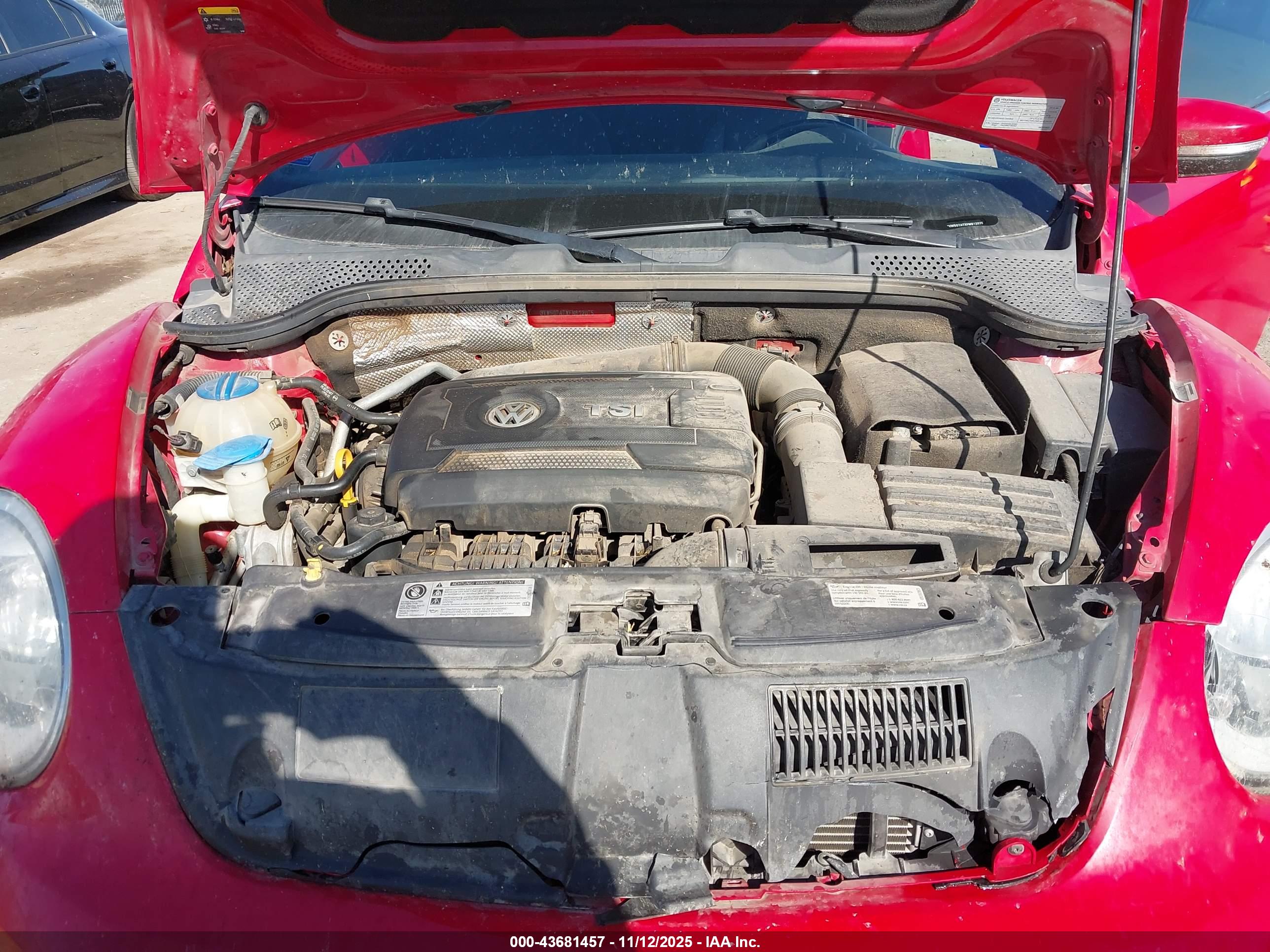 VOLKSWAGEN BEETLE image 10