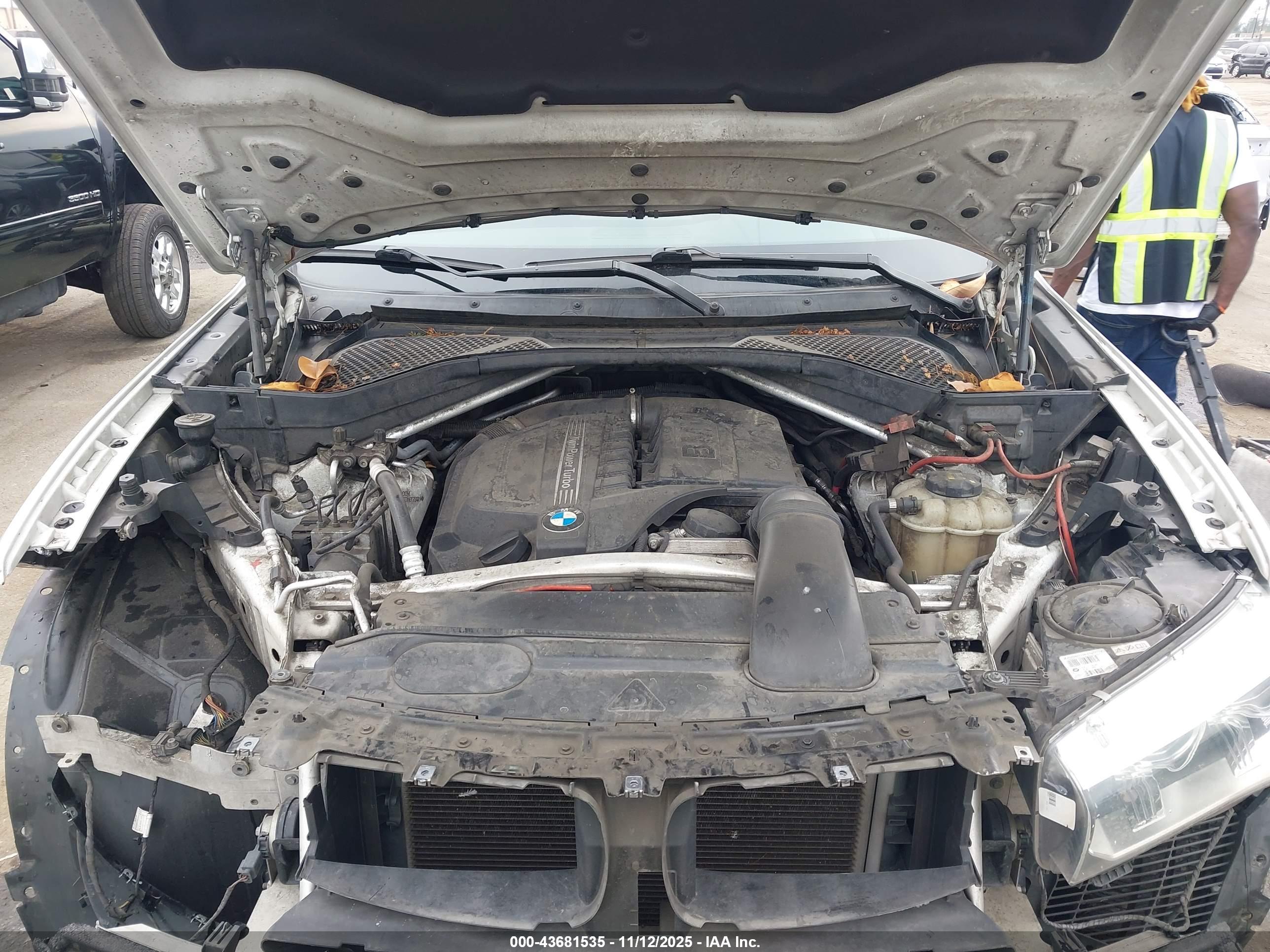 BMW X6 image 10