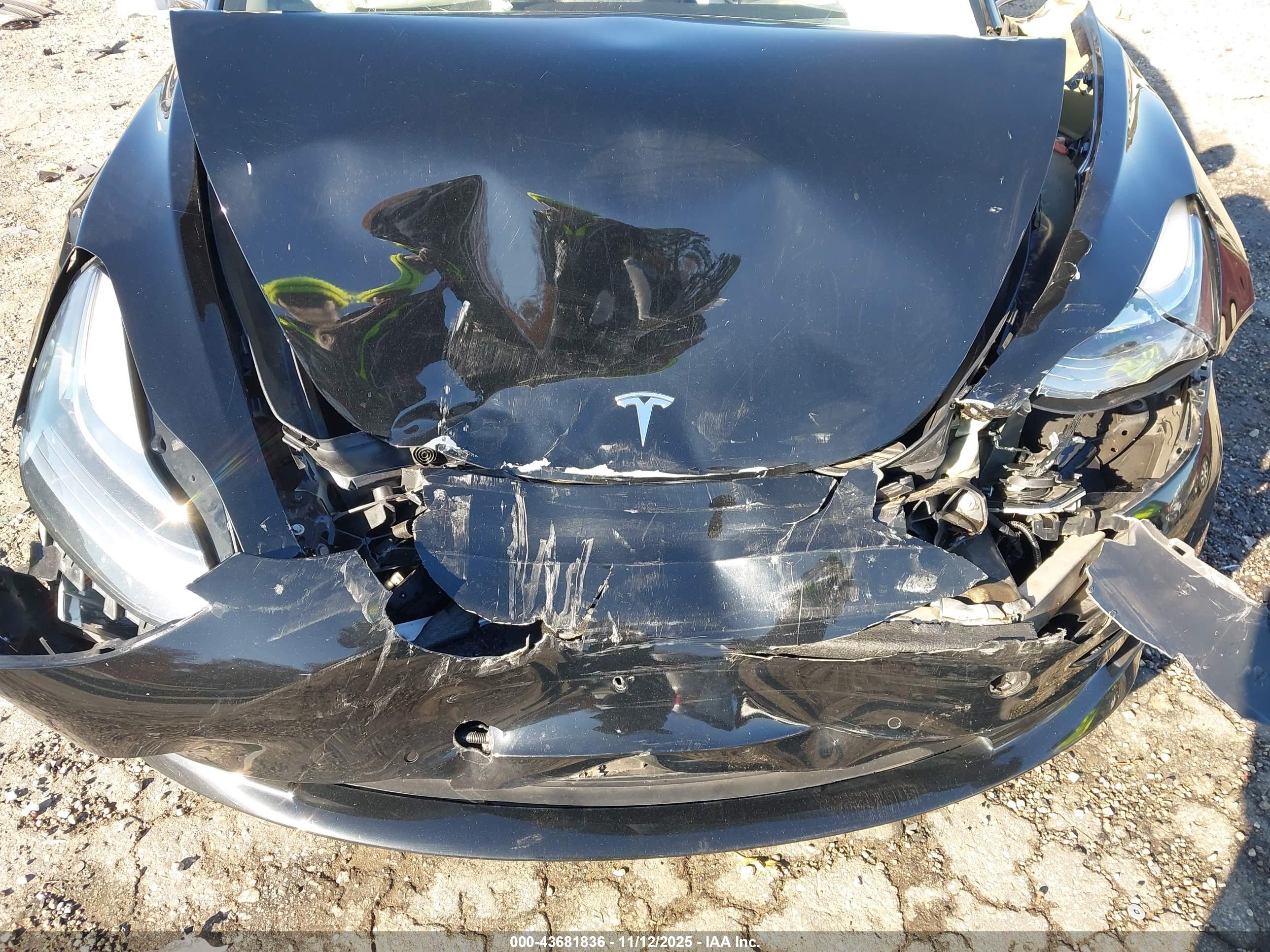 TESLA MODEL image 10