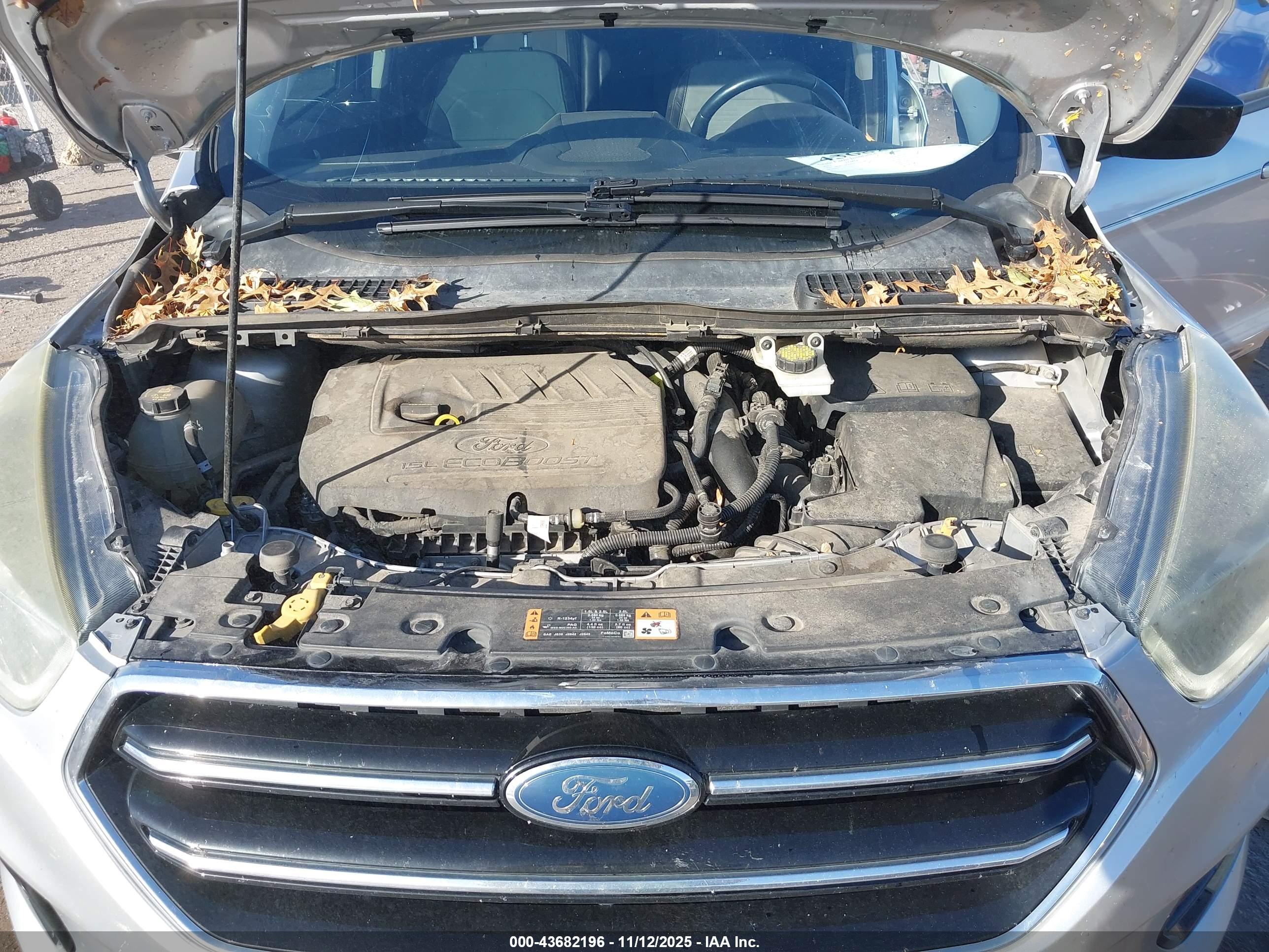 FORD ESCAPE image 10