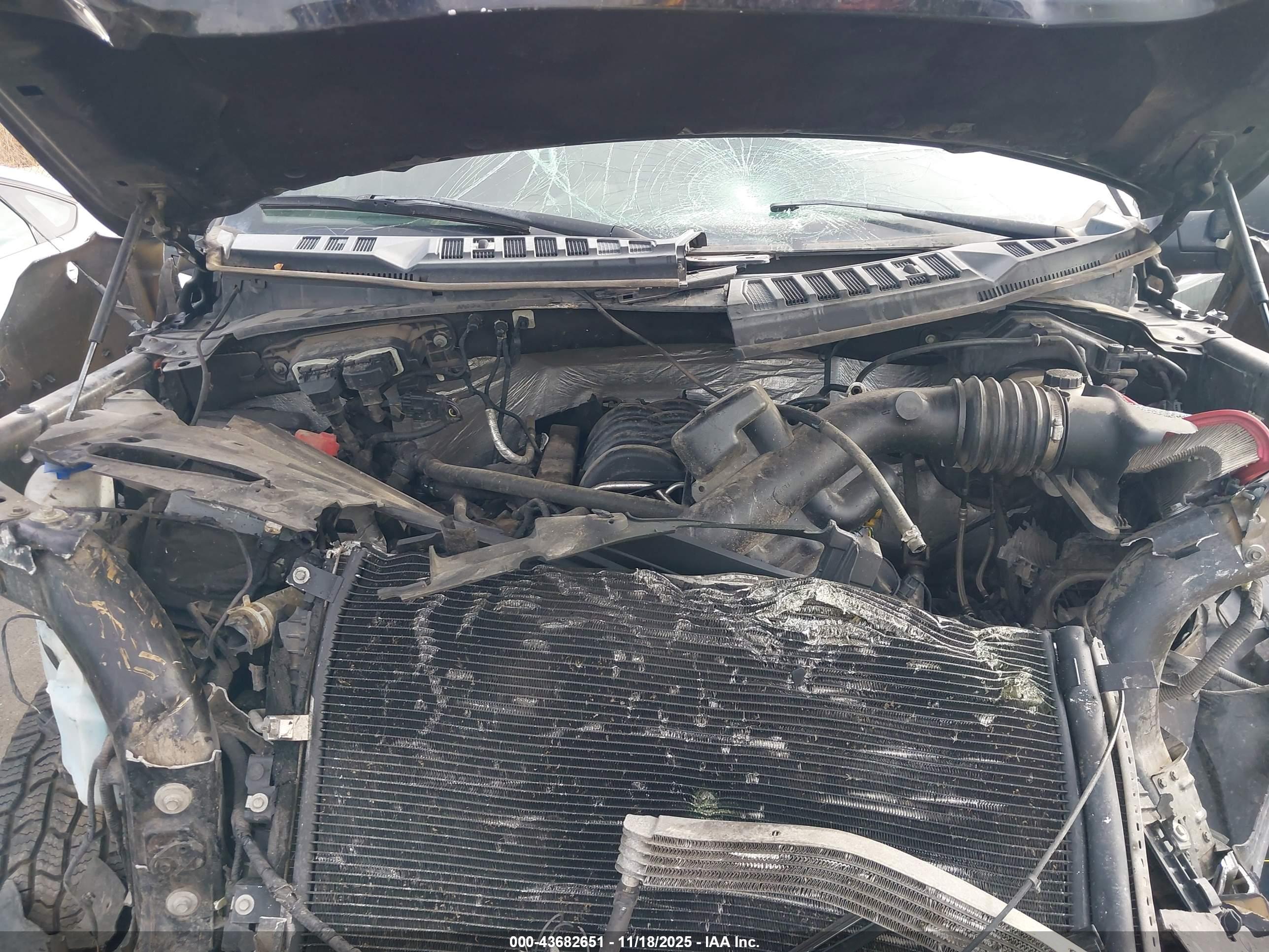 FORD F-150 image 10