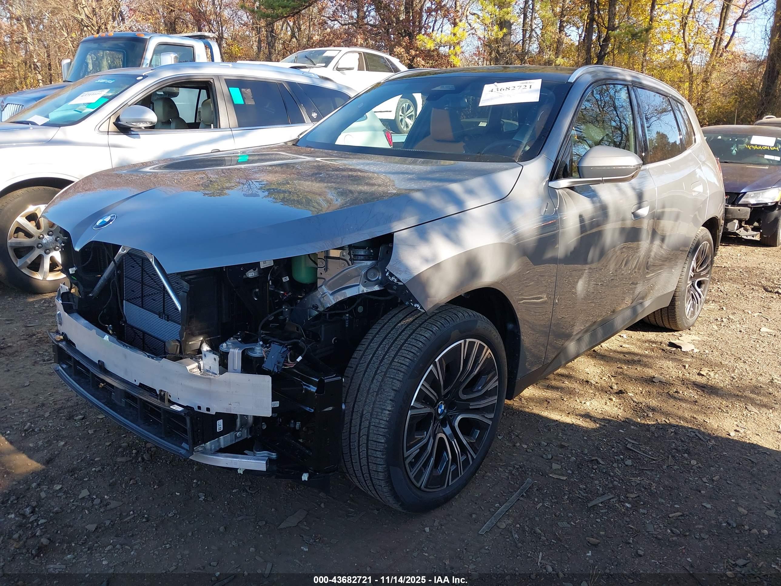 BMW X3 image 2