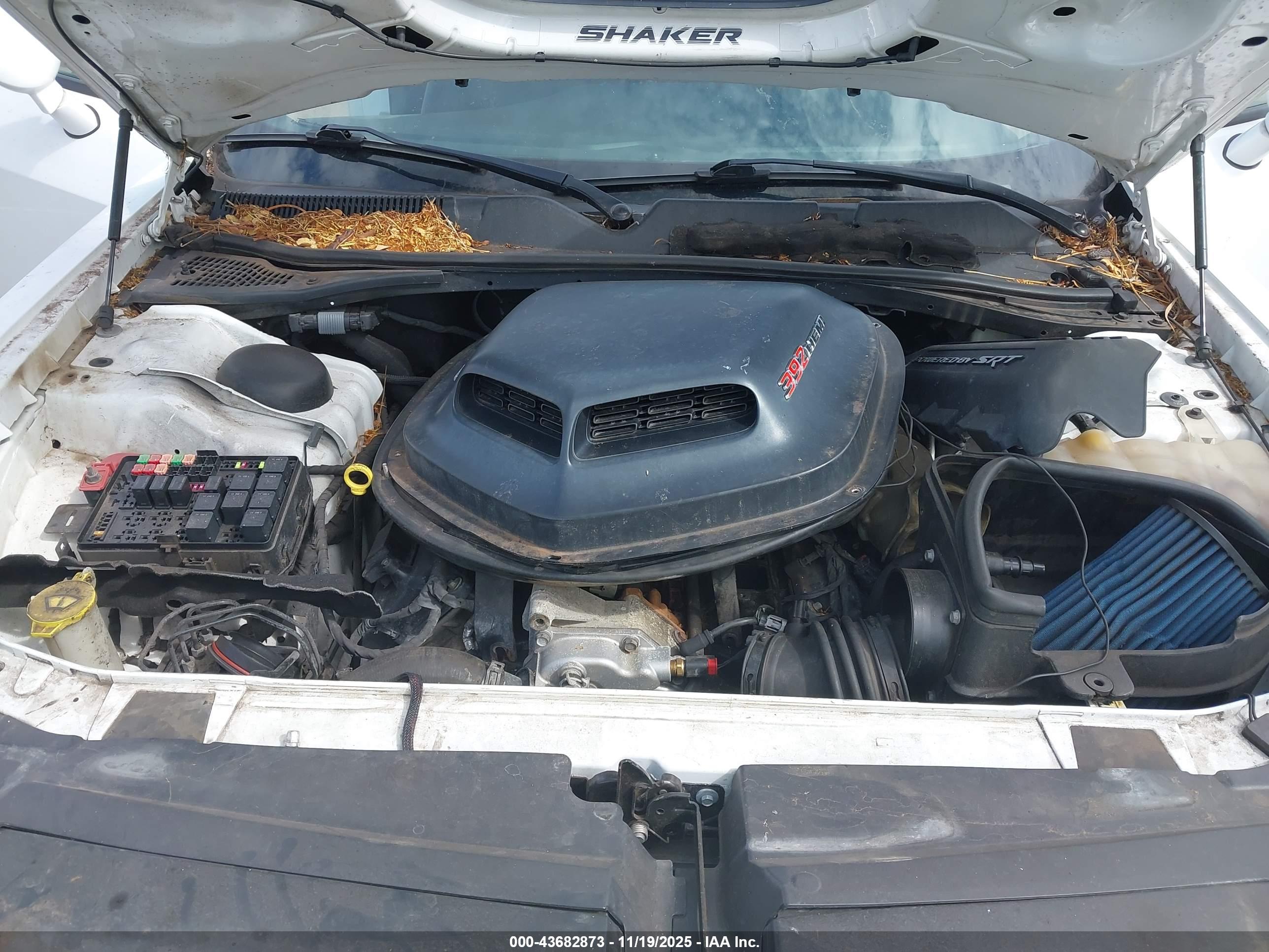 DODGE CHALLENGER image 10