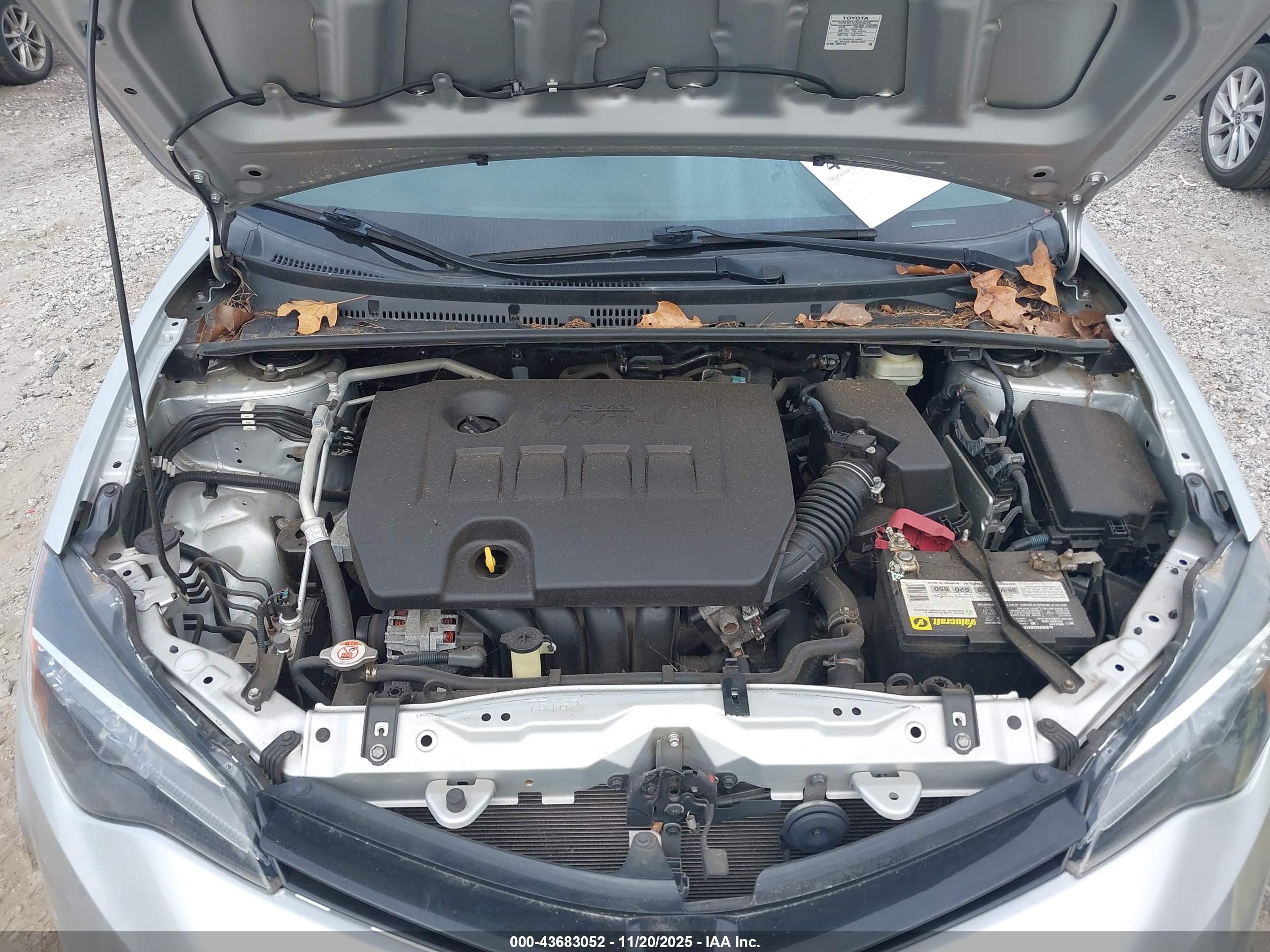 TOYOTA COROLLA image 10