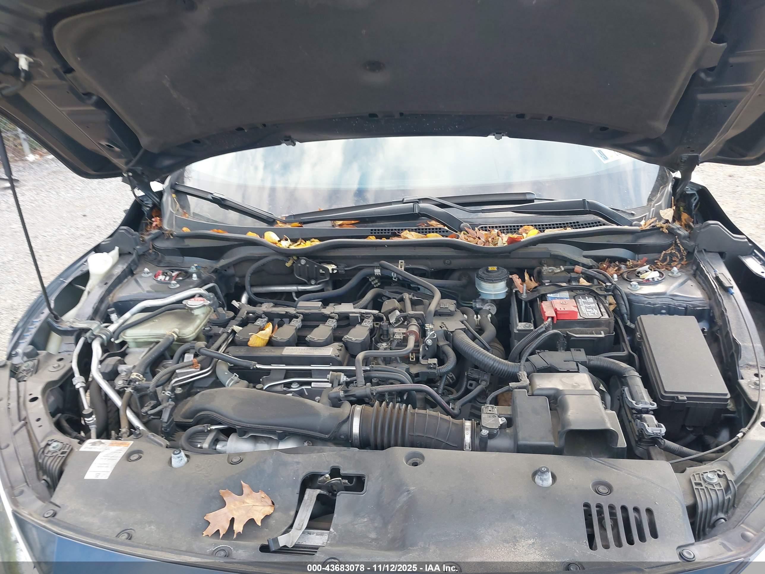 HONDA CIVIC image 10