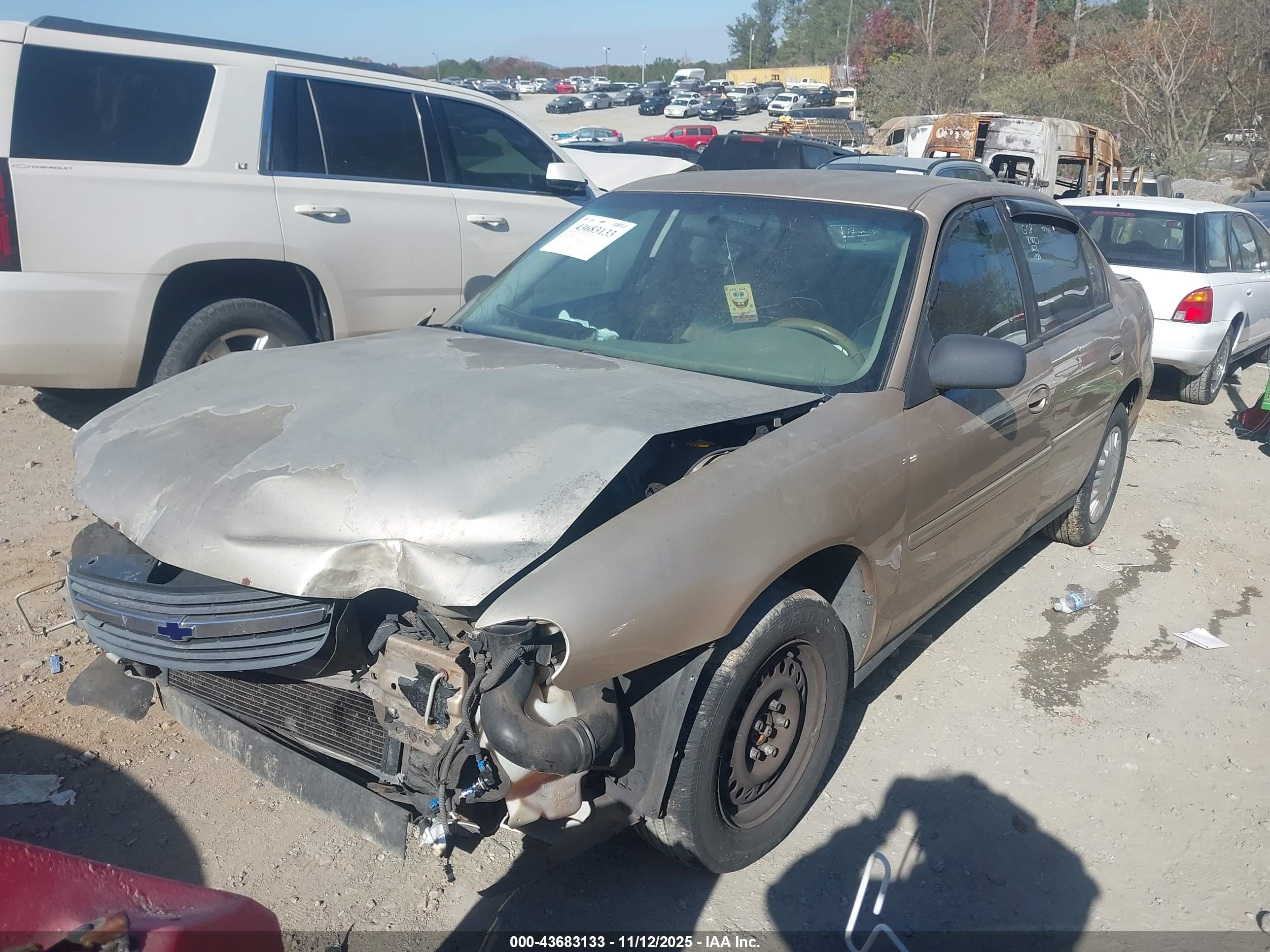 CHEVROLET MALIBU image 2