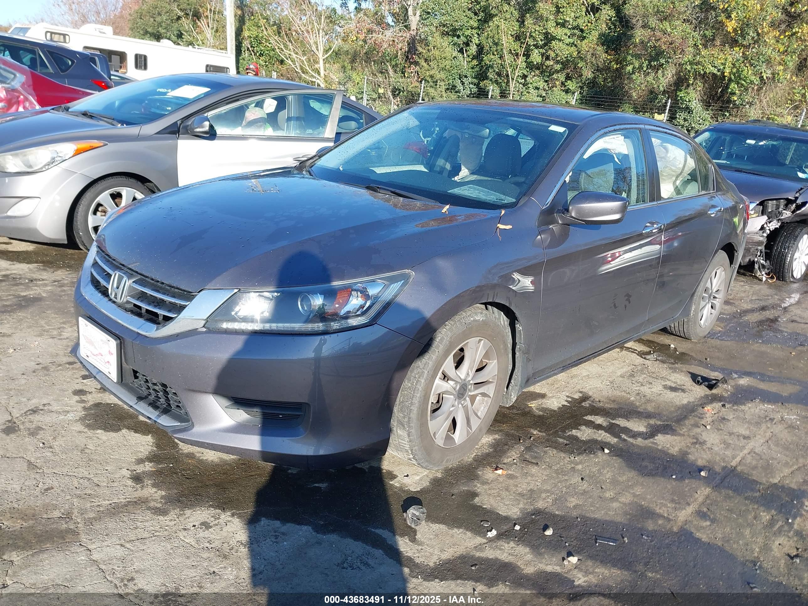 HONDA ACCORD image 2