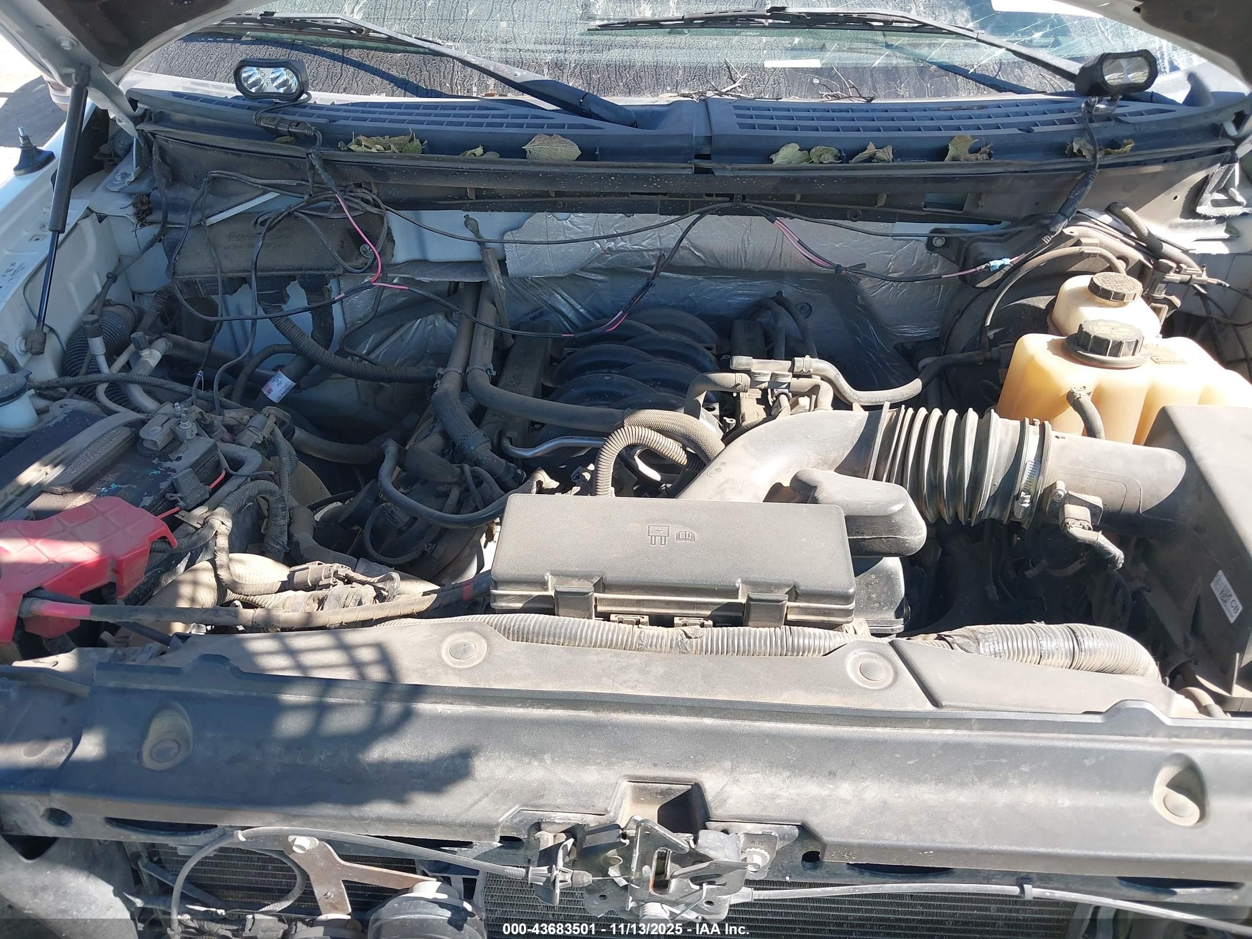 FORD F-150 image 10
