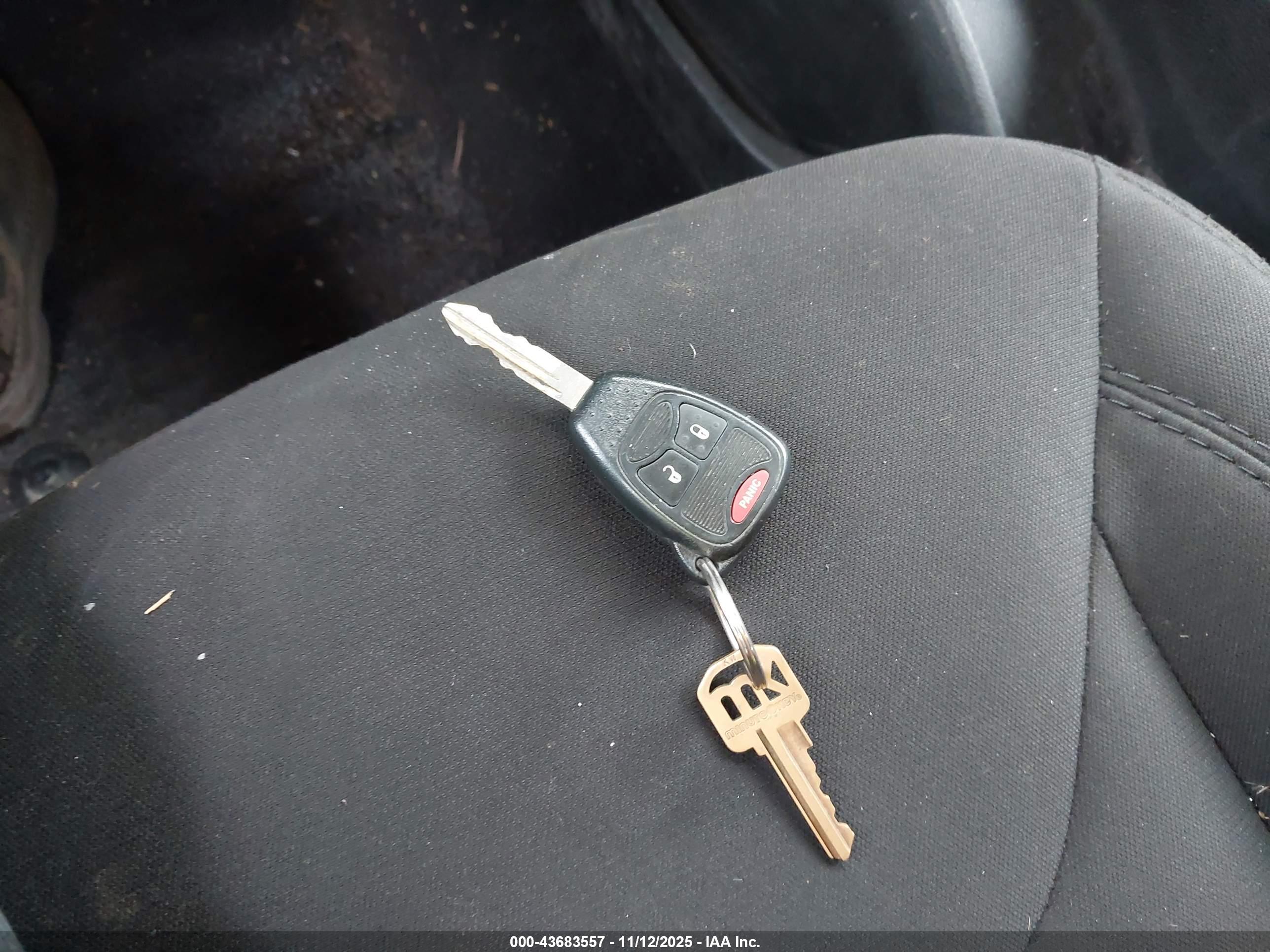 JEEP WRANGLER image 11