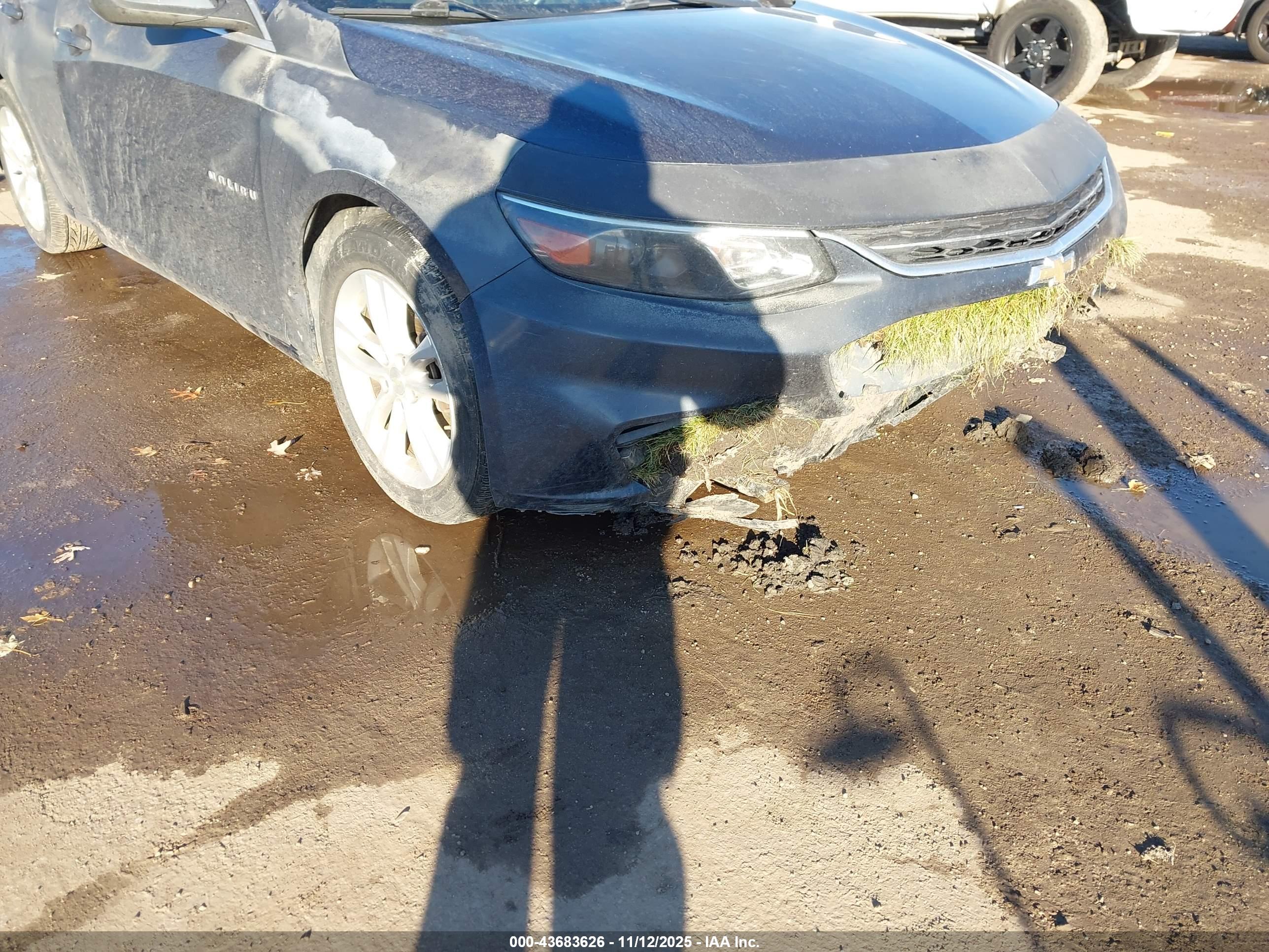 CHEVROLET MALIBU image 6