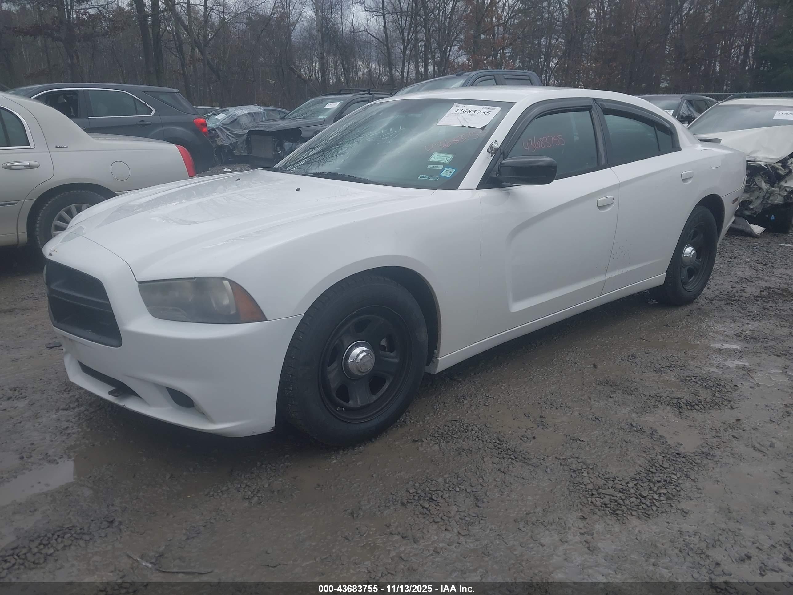 DODGE CHARGER image 2