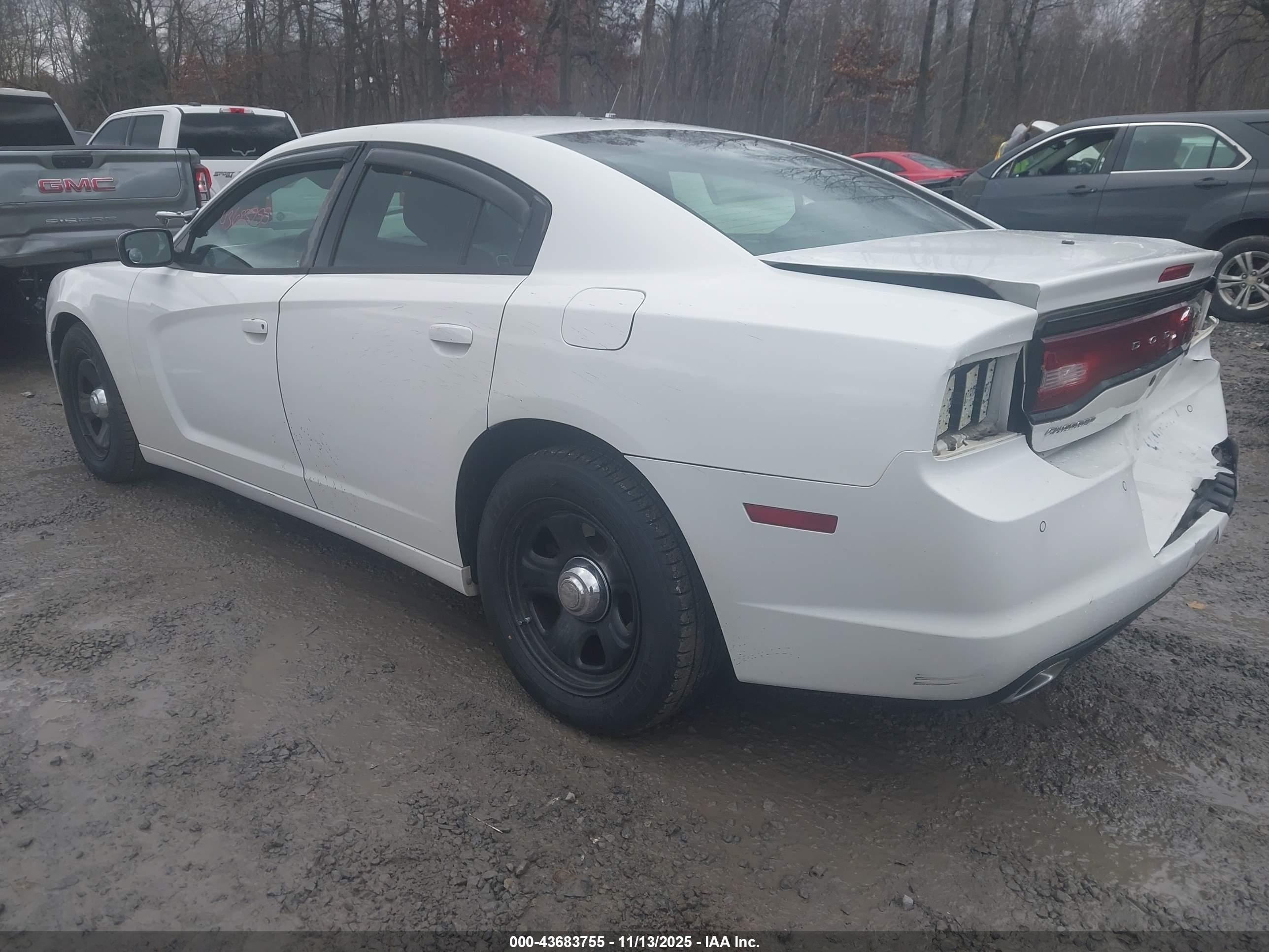 DODGE CHARGER image 3