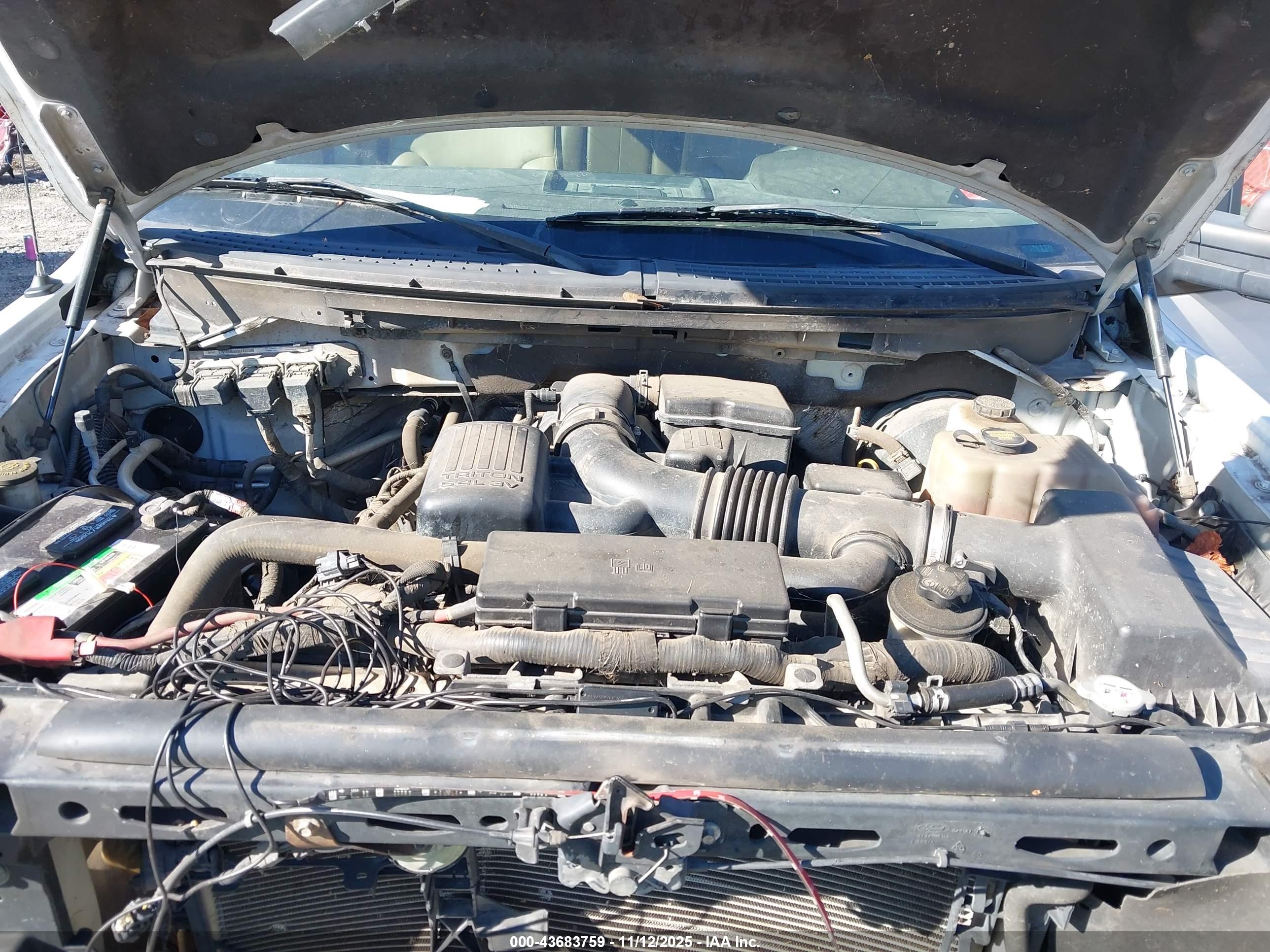 FORD F-150 image 10