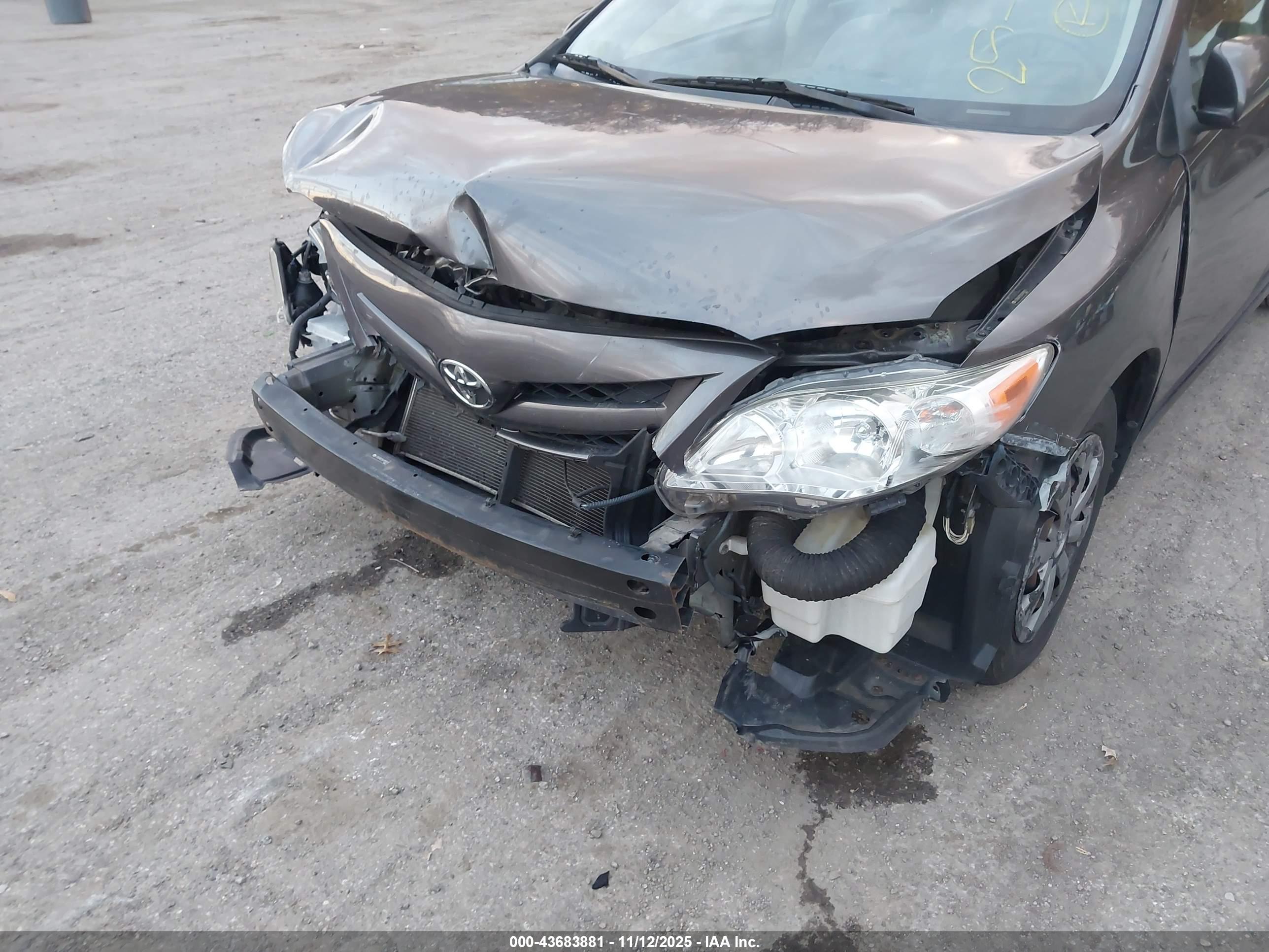 TOYOTA COROLLA image 6