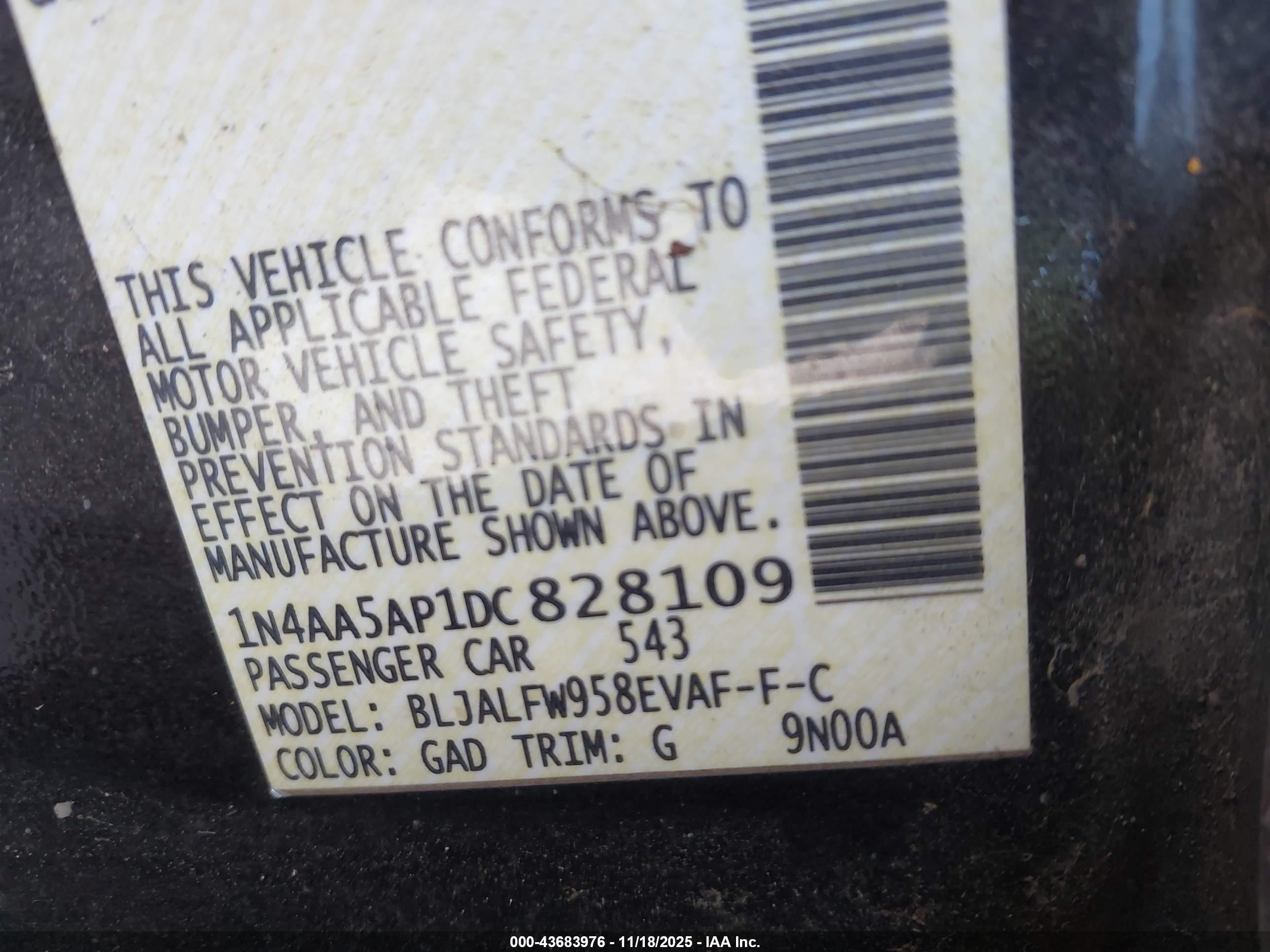NISSAN MAXIMA image 9