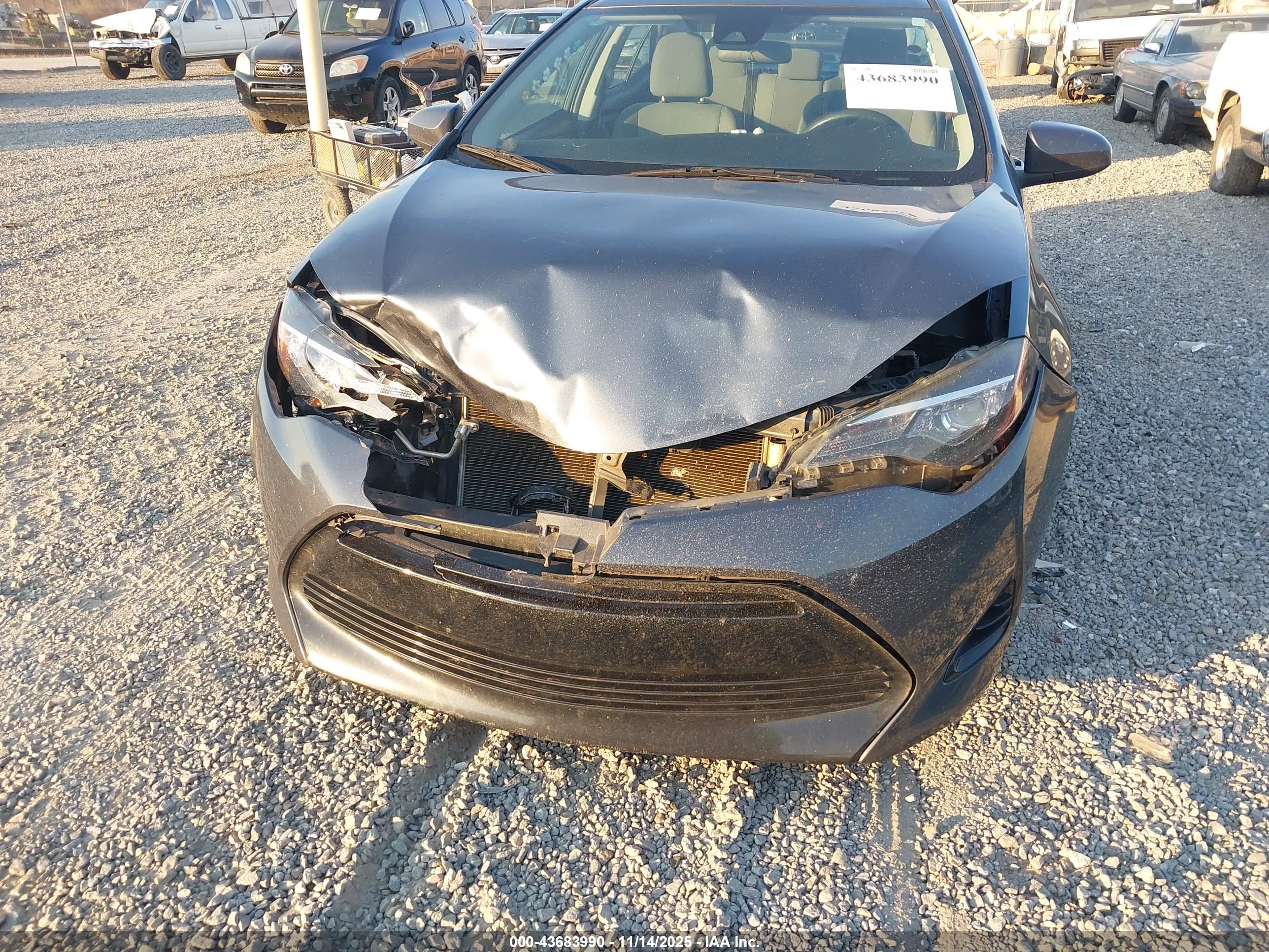 TOYOTA COROLLA image 6